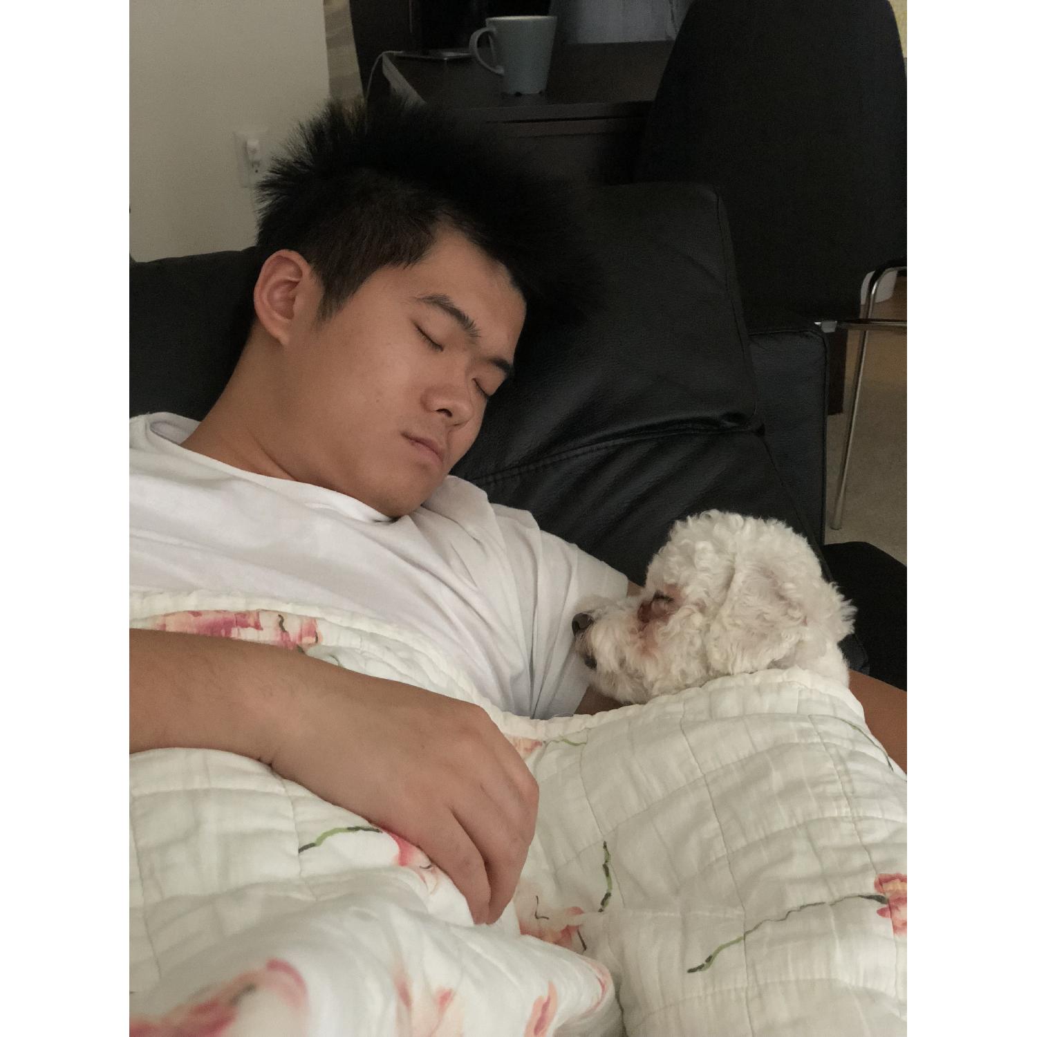 Ikea Friheten Sleeper Sofa in Bomstad Black - image-7