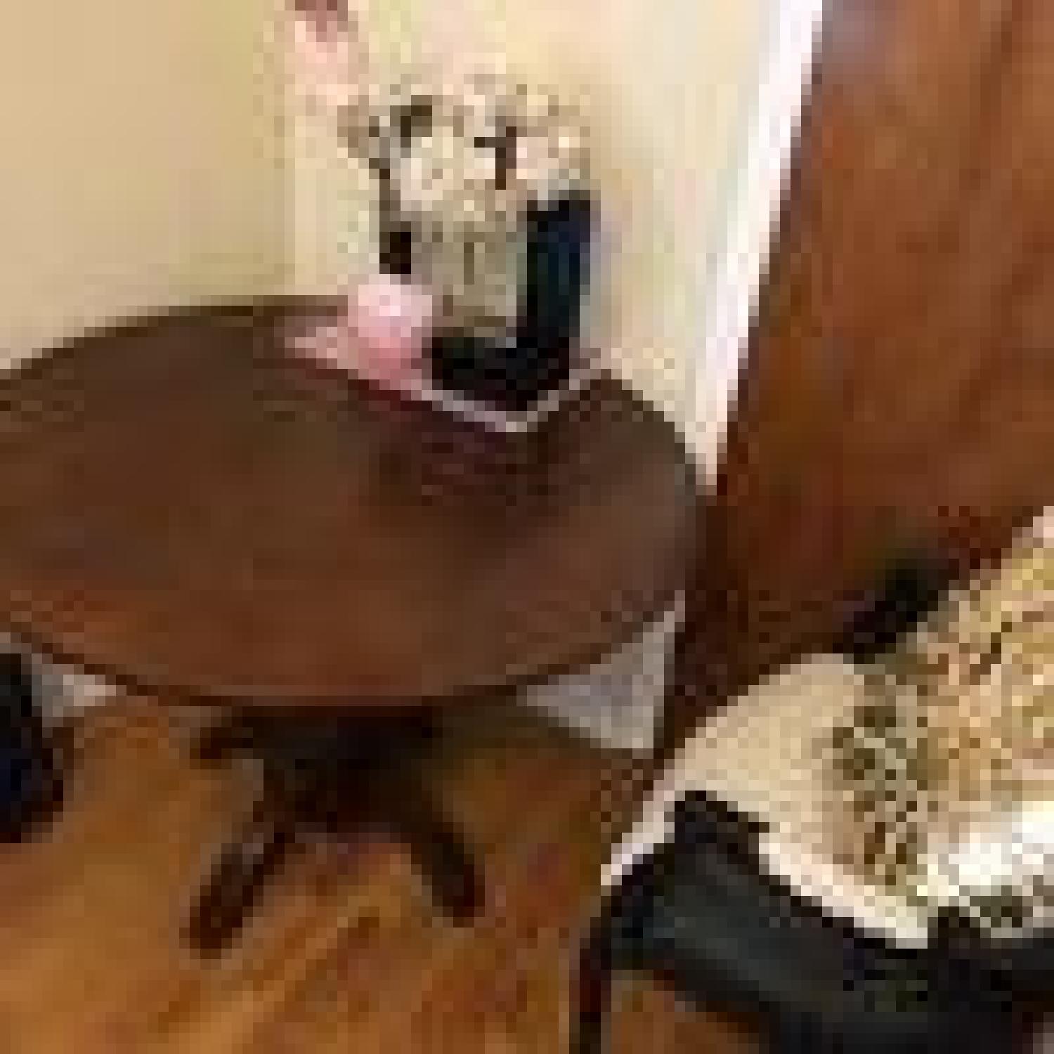 Anthropologie Wood Drop-Leaf Round Dining Table - image-2