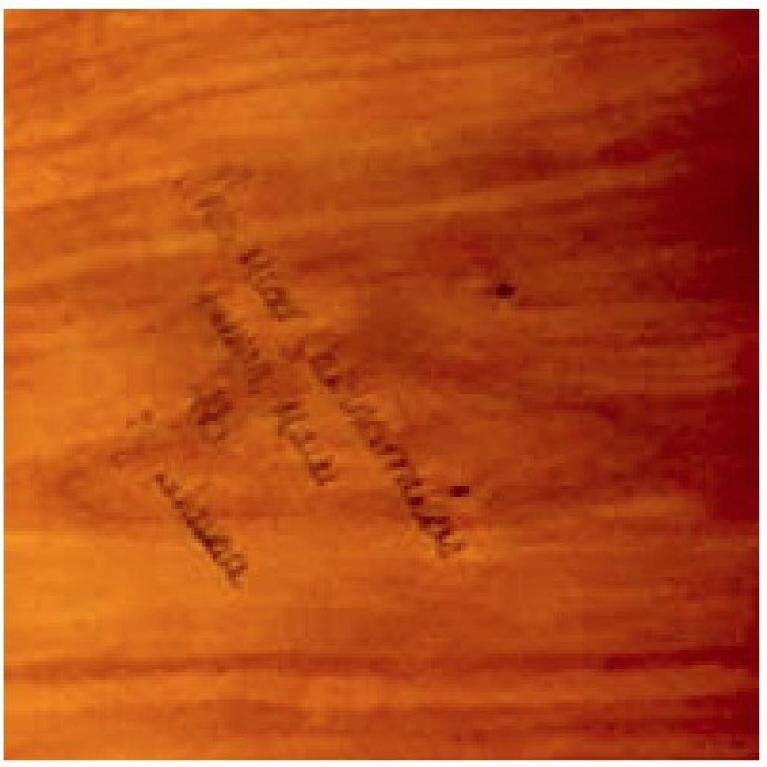 Thos. Moser Oval Ring Extension Table - image-6