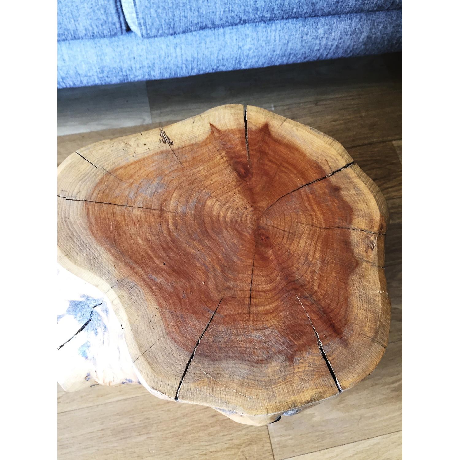 West Elm Natural Tree Stump Side Table - image-4