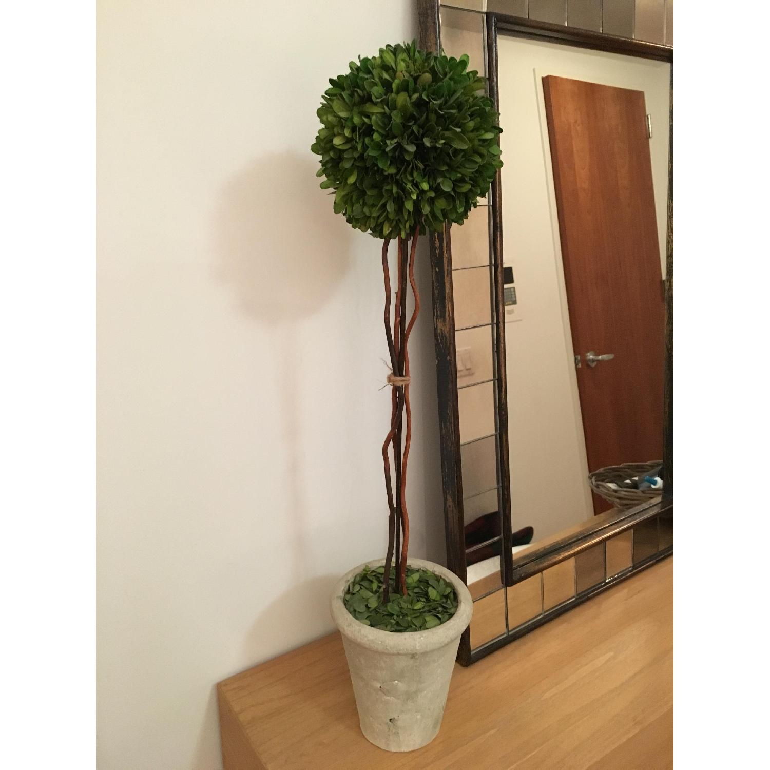 Restoration Hardware Faux Plant - image-2