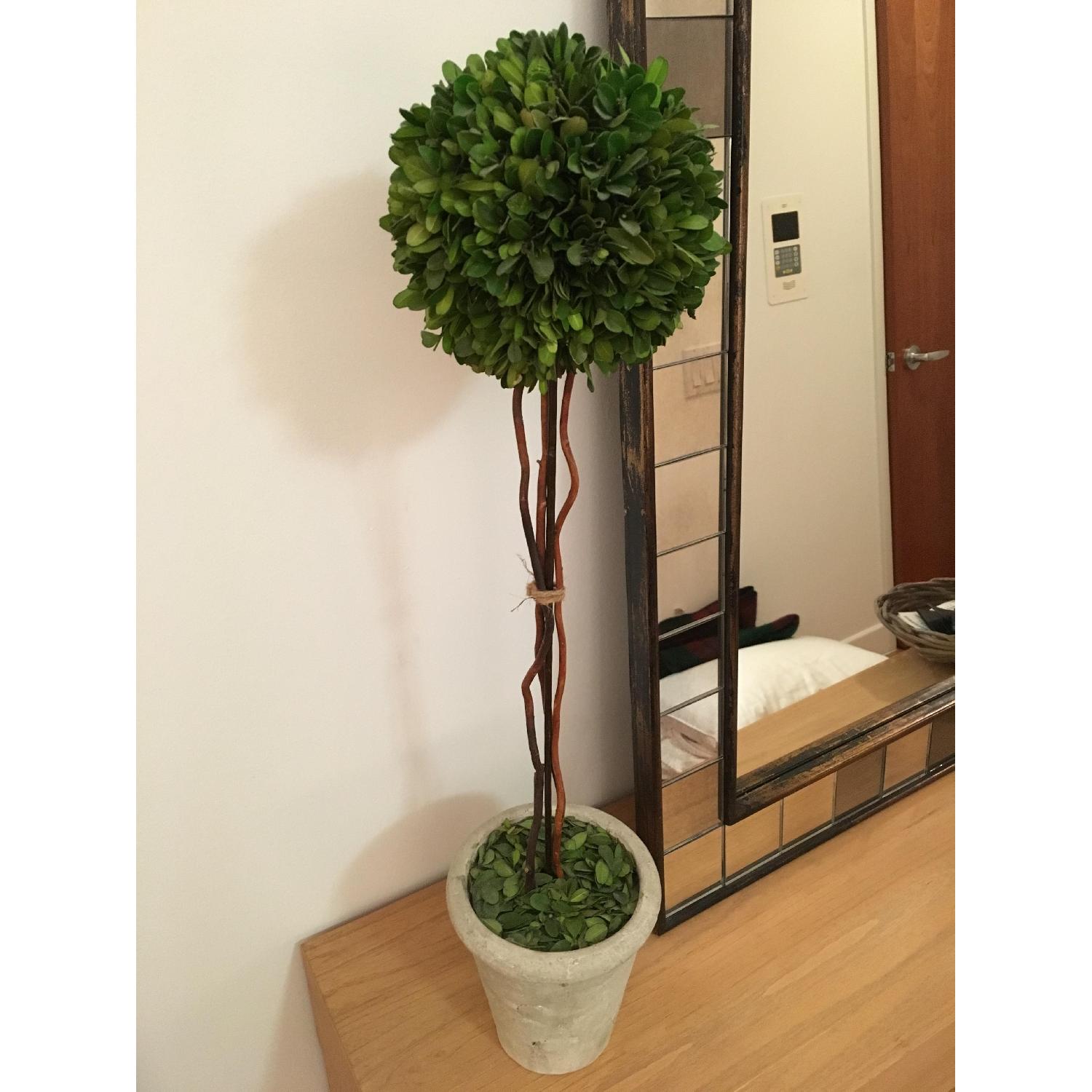 Restoration Hardware Faux Plant - image-4