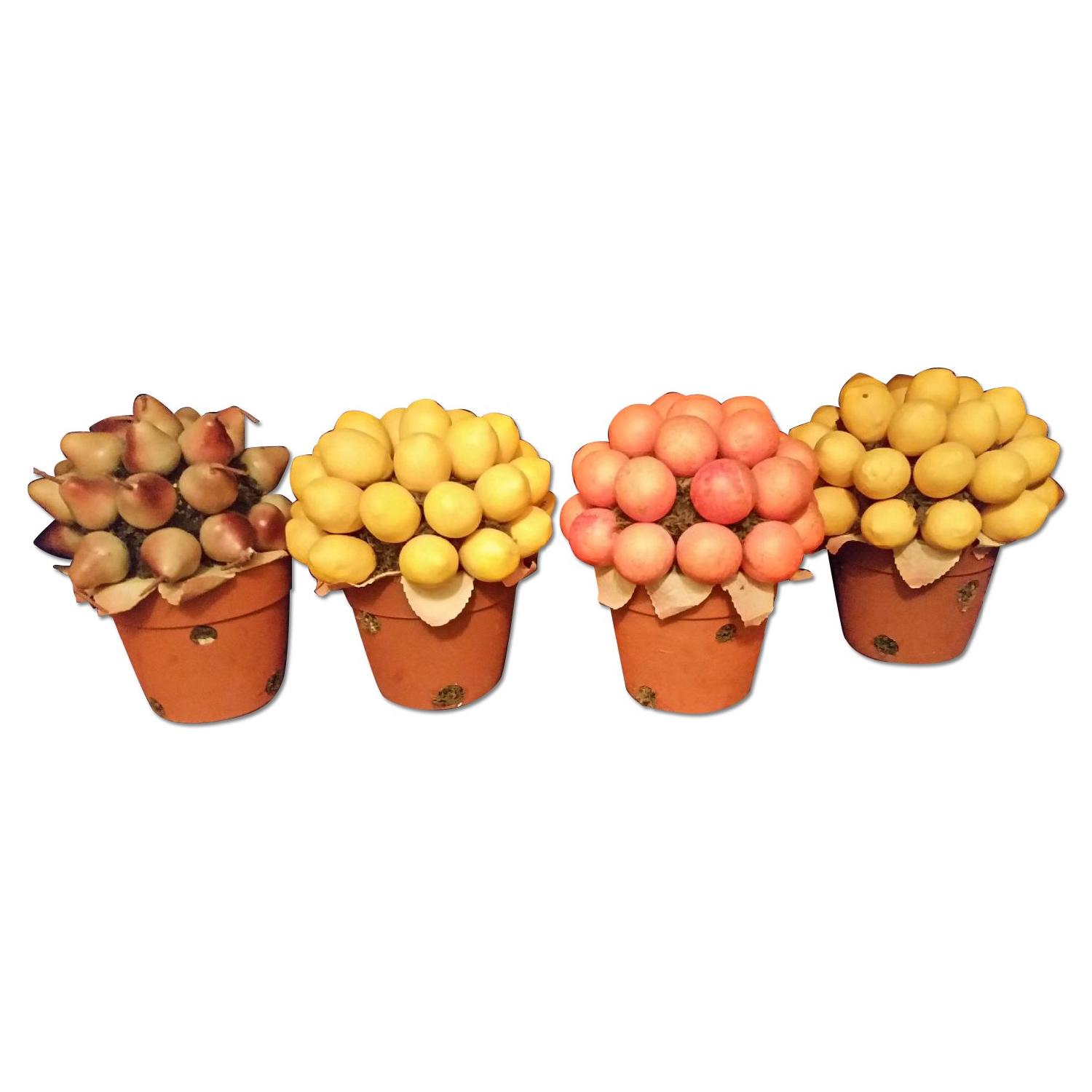7 Decorative Fruit Trees Topiary AptDeco
