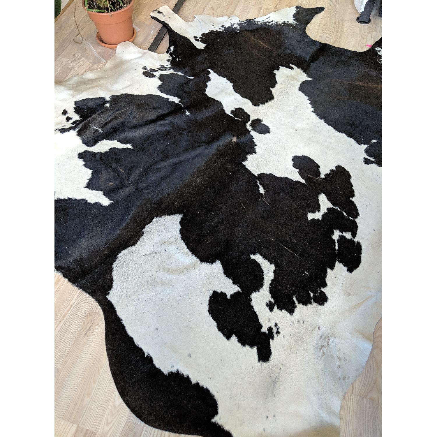 Ikea Koldby Cowhide Rug AptDeco
