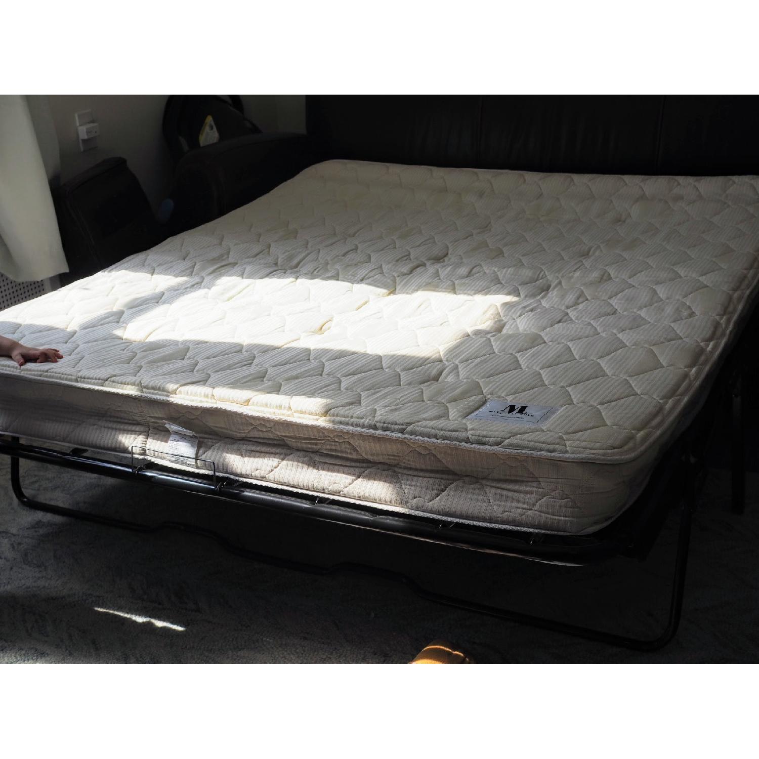 Pottery Barn Mitchell + Gold Manhattan Sleeper Sofa - image-1