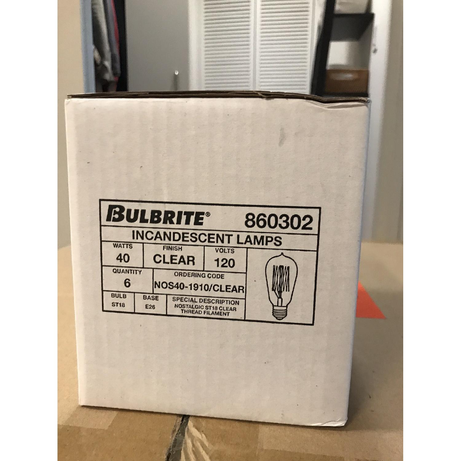 Restoration Hardware Pendant Lights w/ Bulbs - image-4