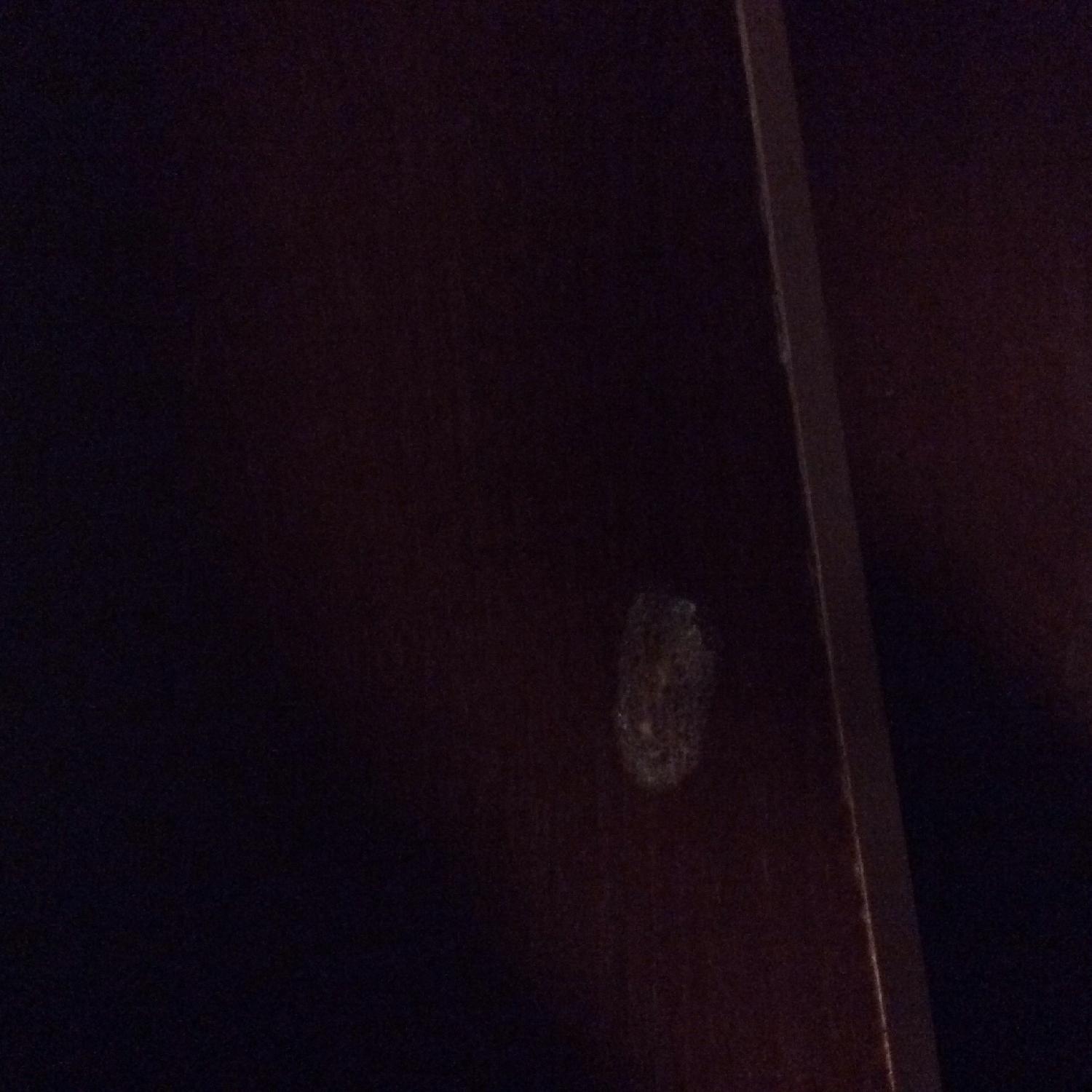 Bob's Bookcase - image-4