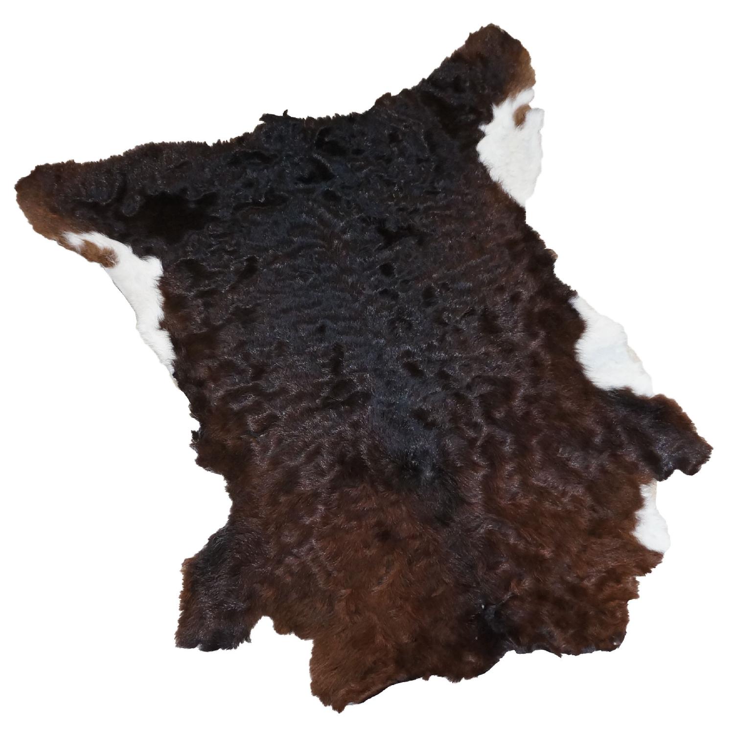 Fluffy Dark Brown with White Calfhide Rug - image-0