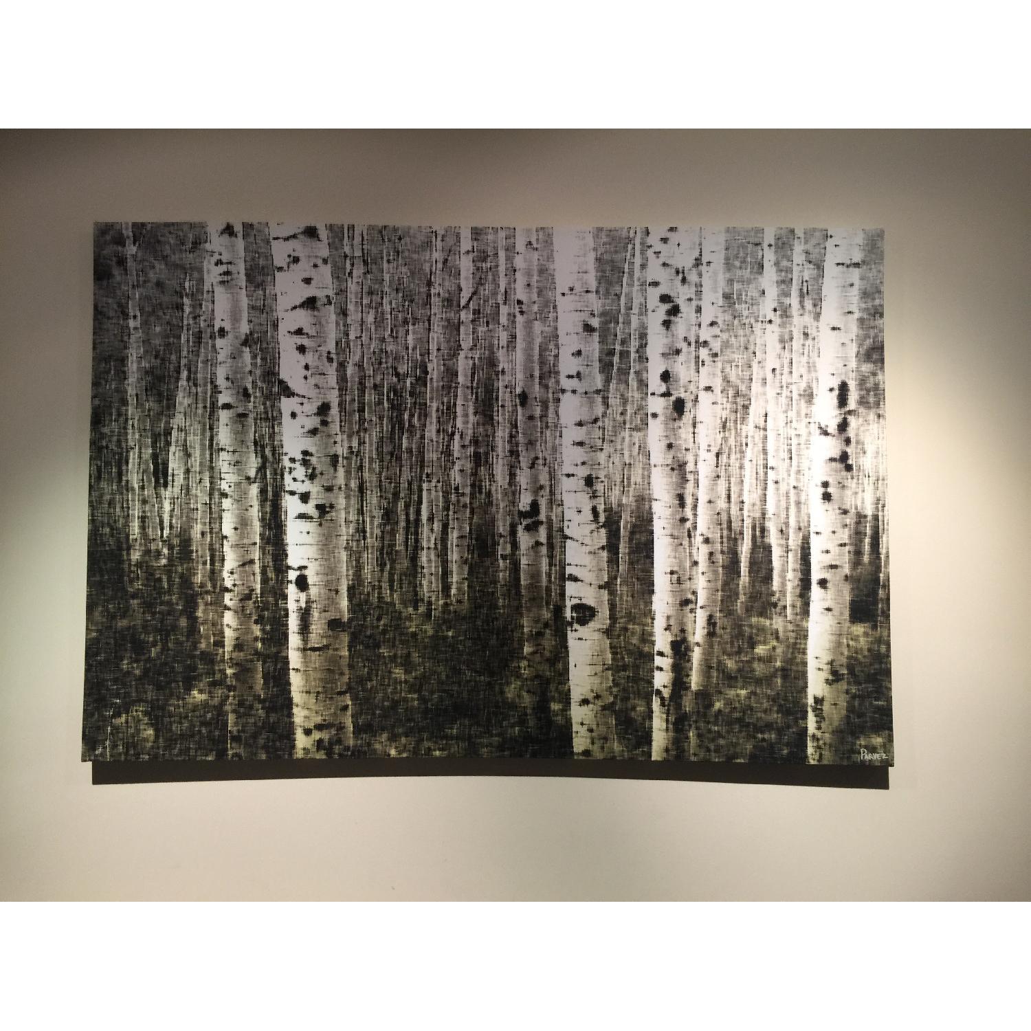 Parvez Taj Aspen Highlands Canvas Wall Art - image-1