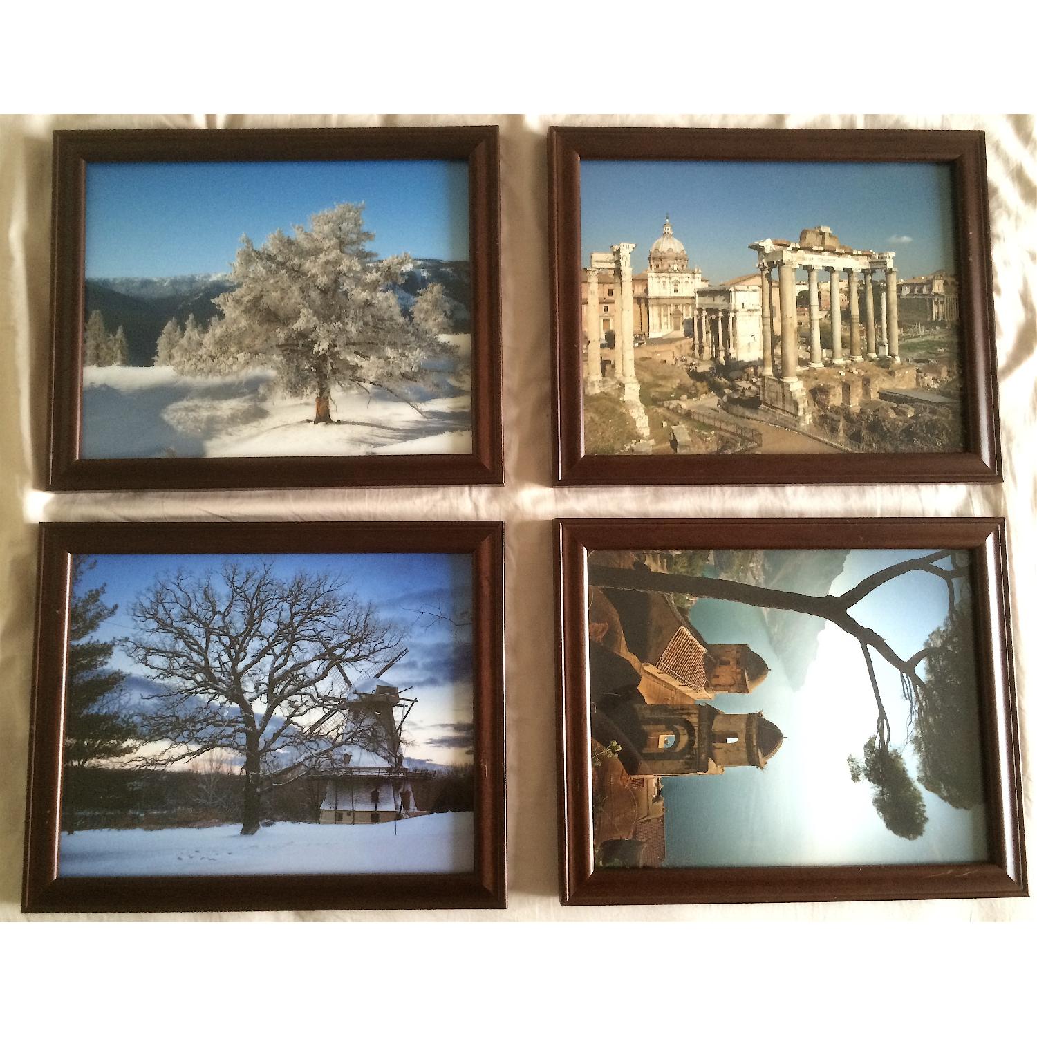 Modern Nature Photography - Set of 4 - image-1