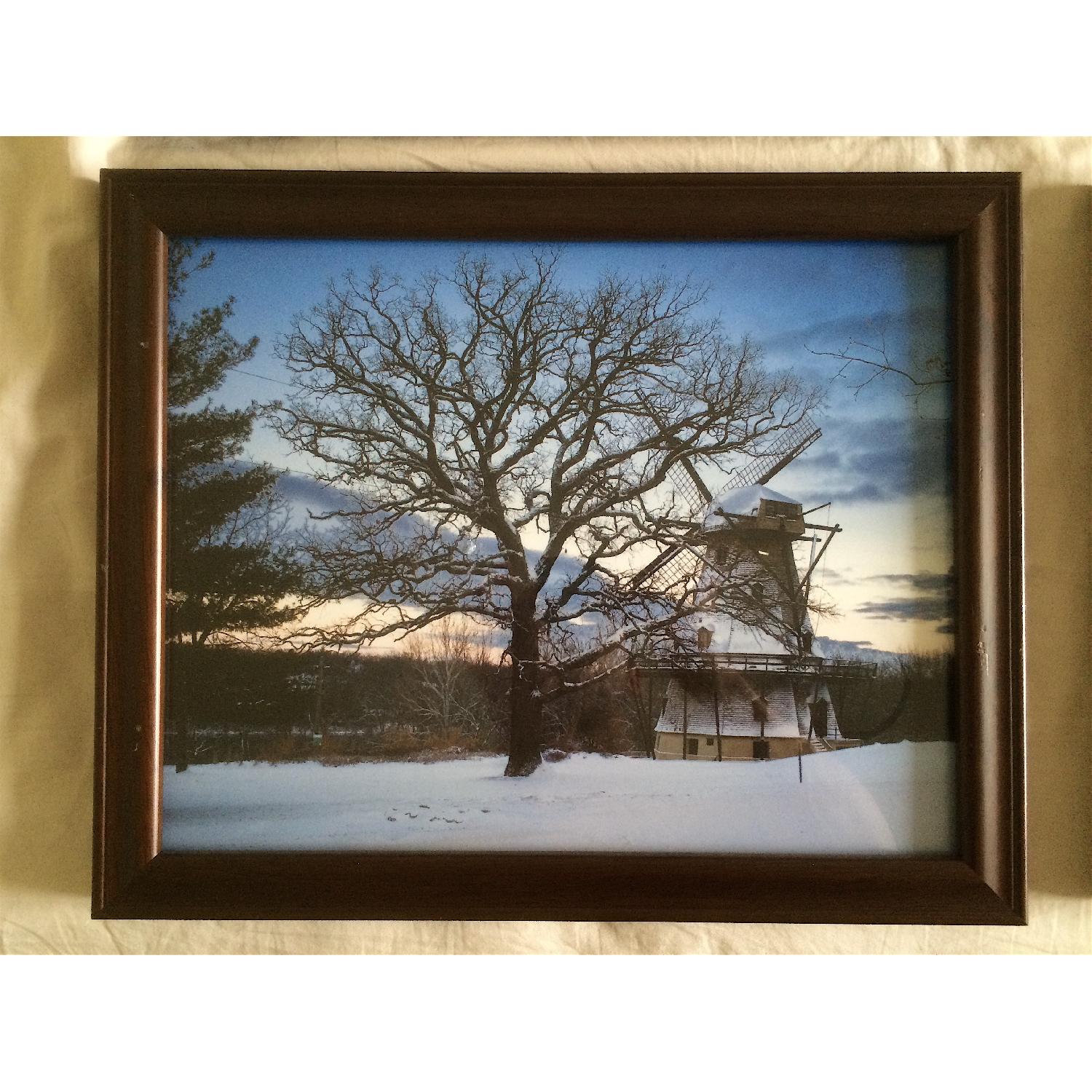 Modern Nature Photography - Set of 4 - image-2