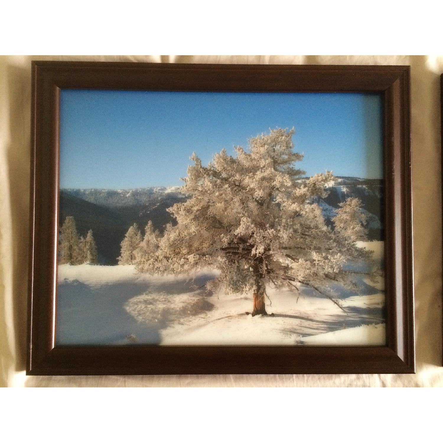 Modern Nature Photography - Set of 4 - image-3