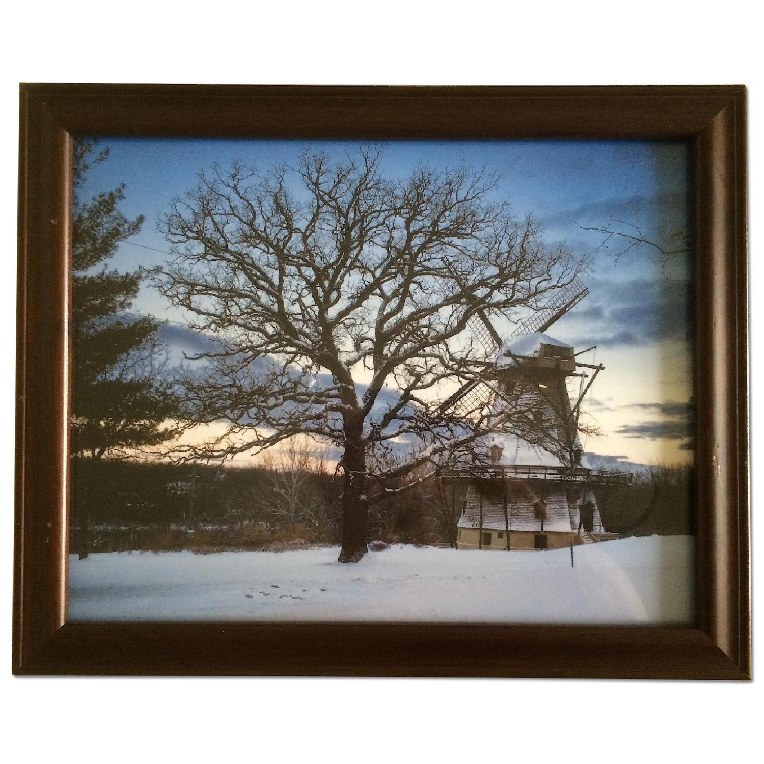 Modern Nature Photography - Set of 4 - image-6