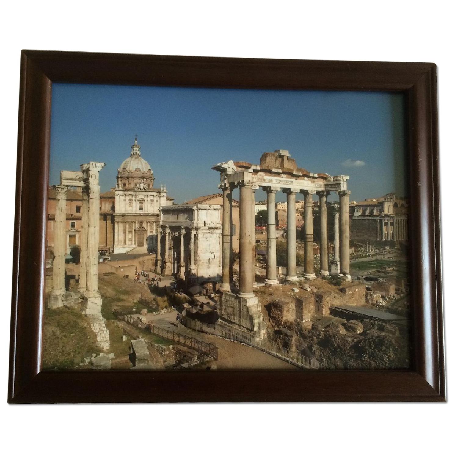 Modern Nature Photography - Set of 4 - image-0