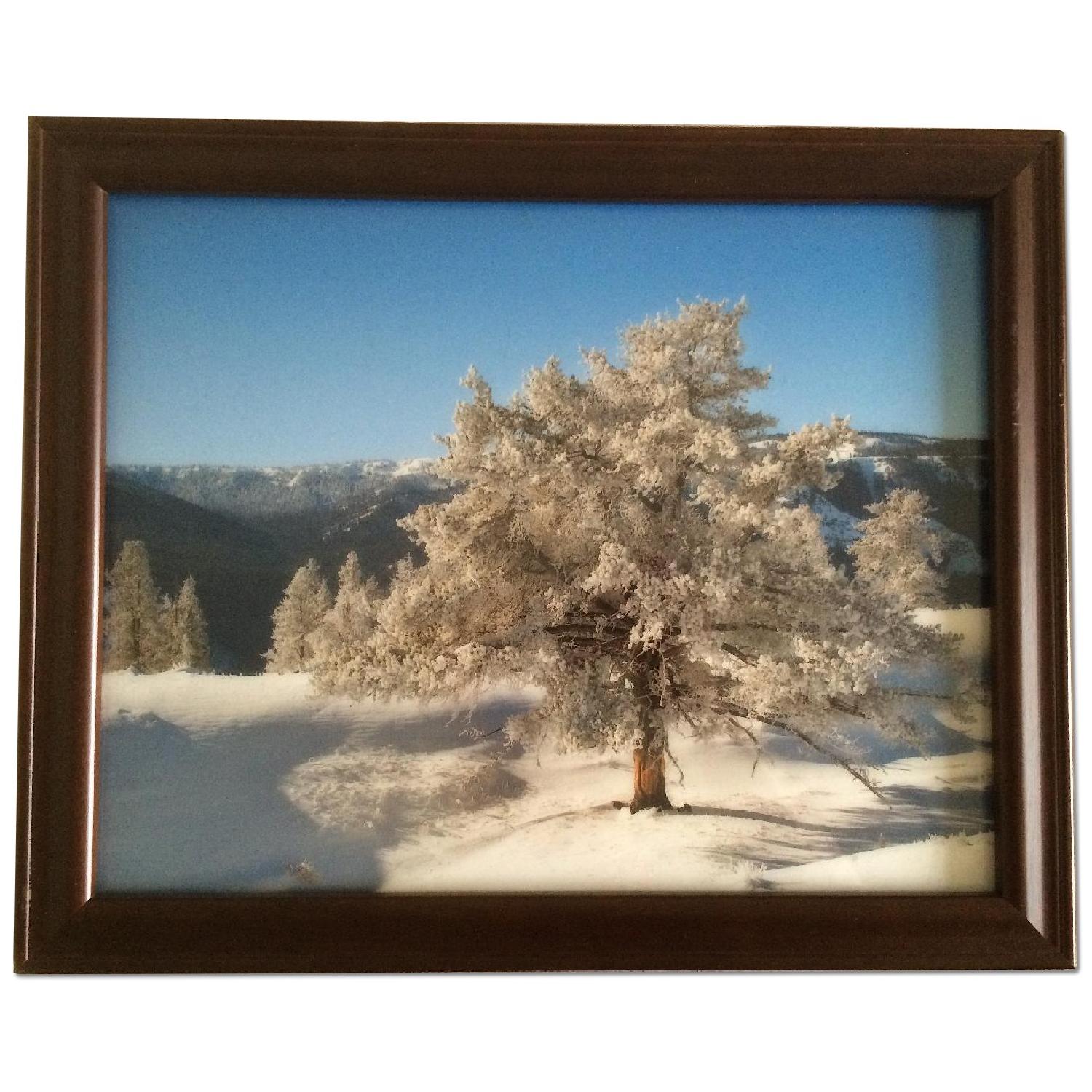 Modern Nature Photography - Set of 4 - image-8