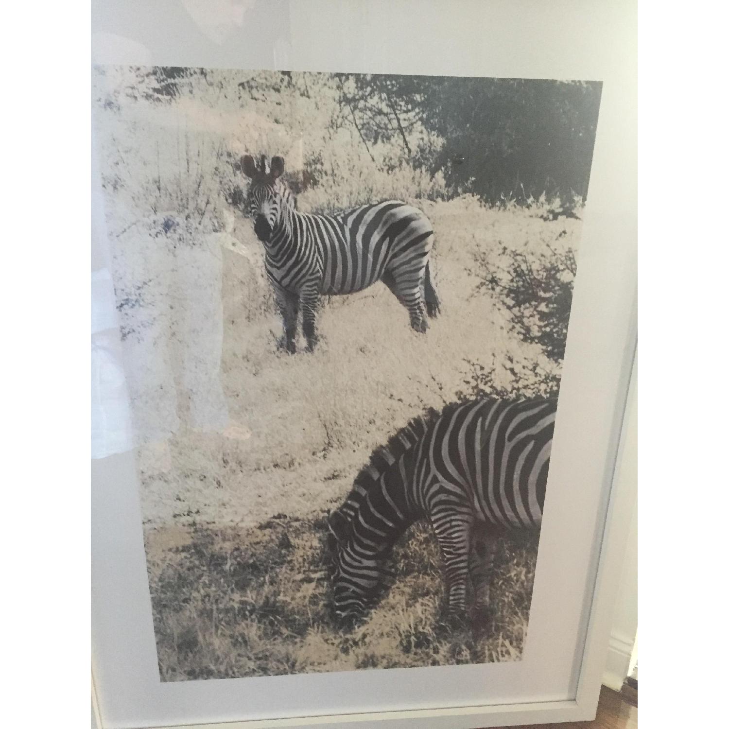 Holly Hunt Photograph on Watercolor Paper - image-1