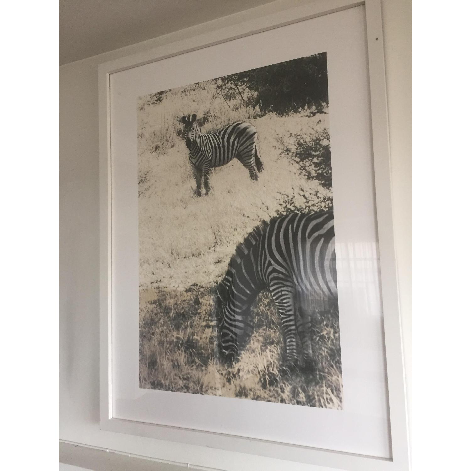 Holly Hunt Photograph on Watercolor Paper - image-2