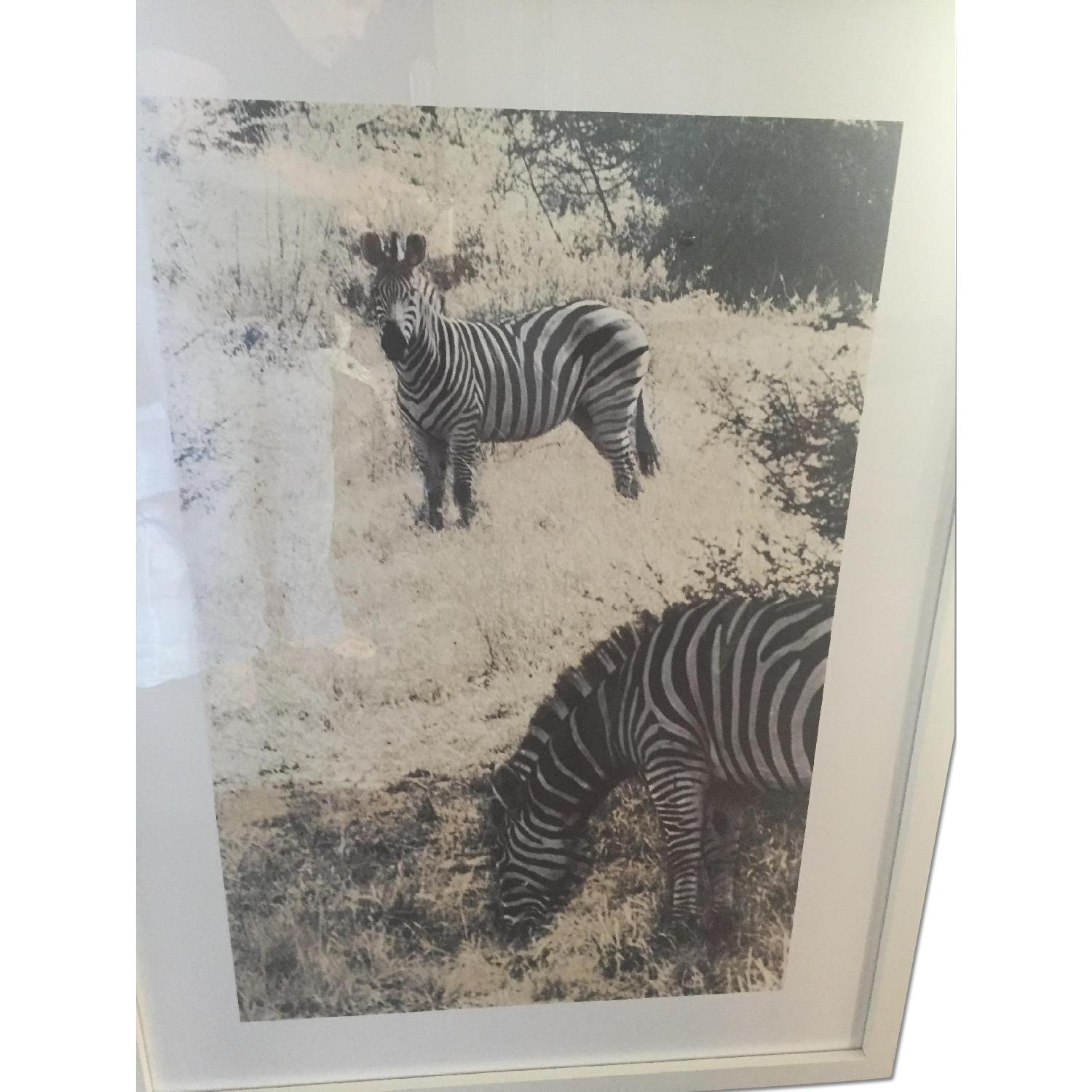 Holly Hunt Photograph on Watercolor Paper - image-0