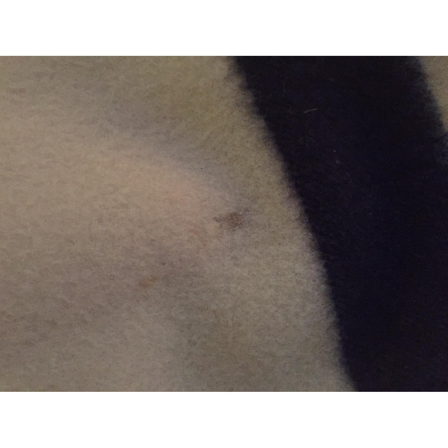 Vintage Hudson Bay 6 Point Queen Size Wool Blanket - image-3