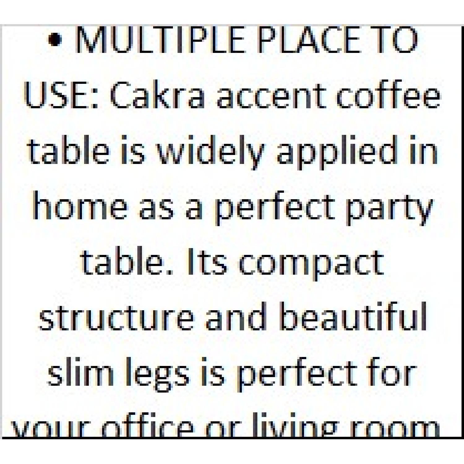 Designe Gallerie Cakra Mirror Coffee/Center Tables - image-6