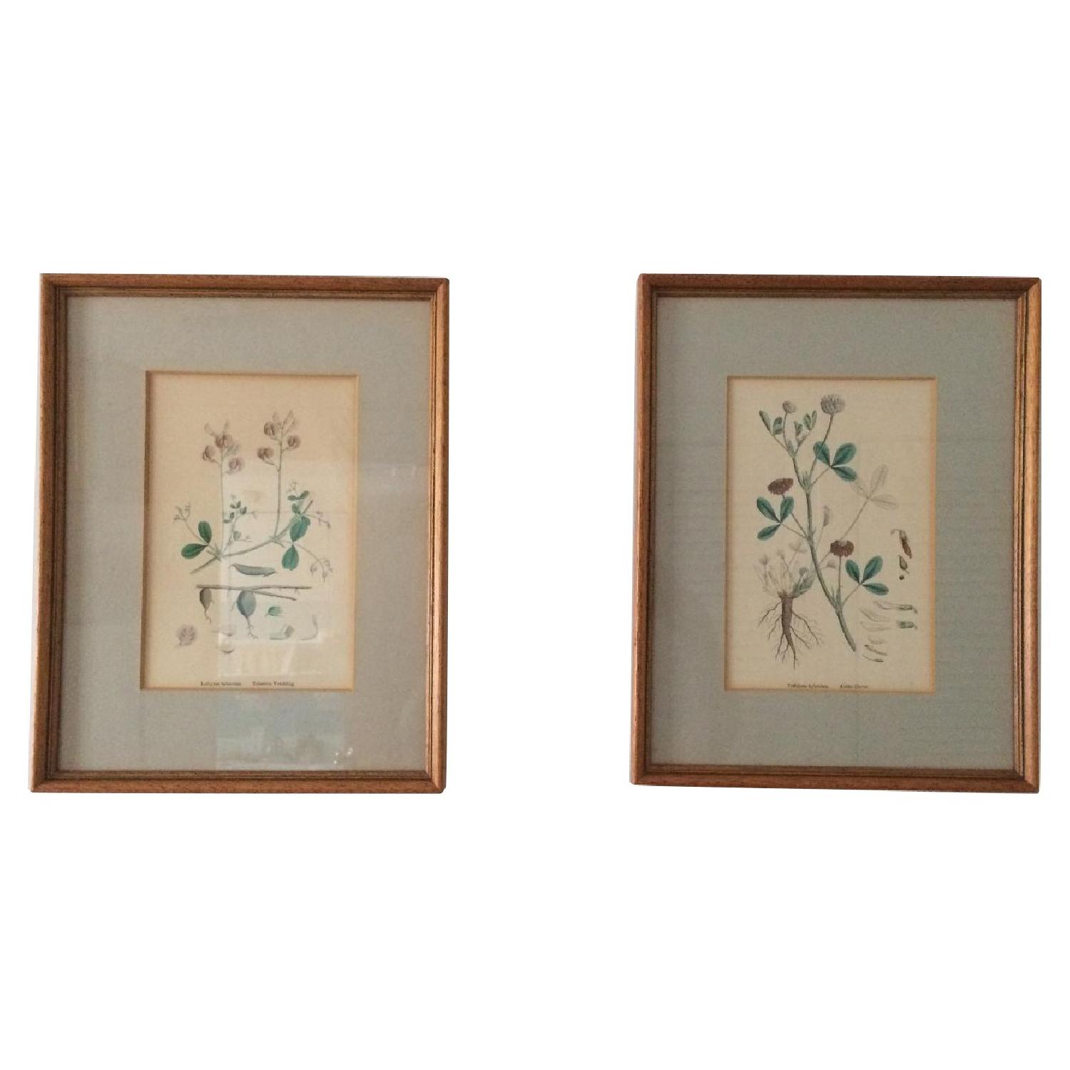 Maximus Antiques Vintage Floral Prints - image-0