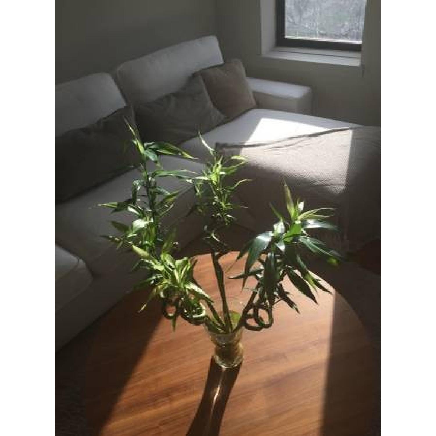 Ikea Kivik Sofa in White - image-2