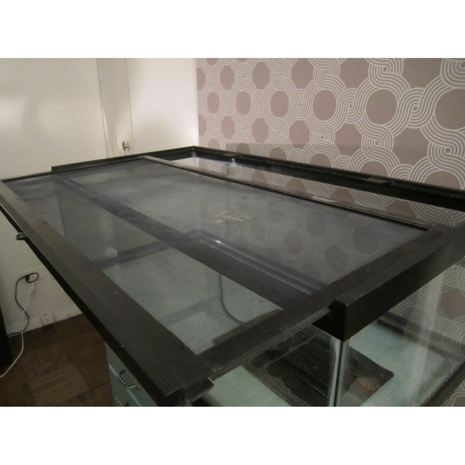 40 Gallon Glass Terrarium Tank - image-2