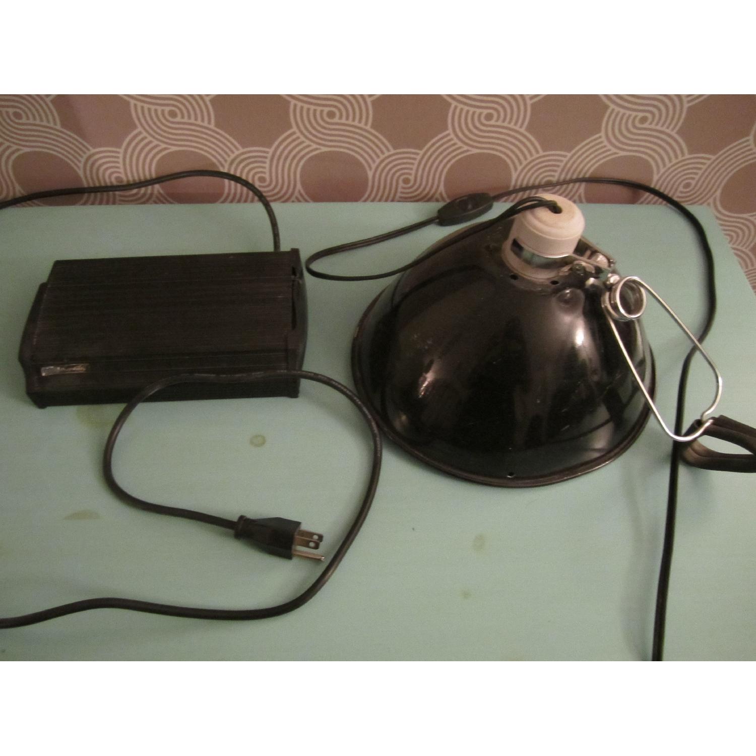 40 Gallon Glass Terrarium Tank - image-4