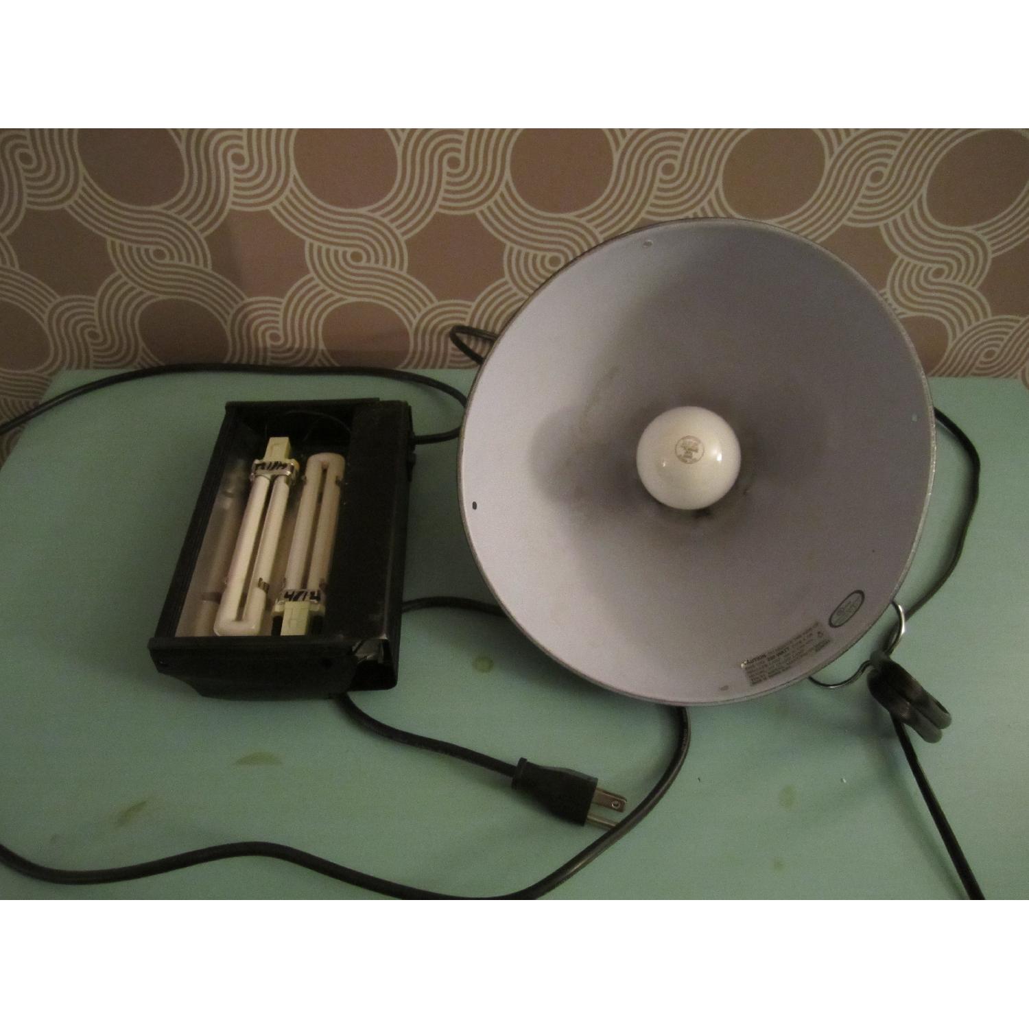 40 Gallon Glass Terrarium Tank - image-5