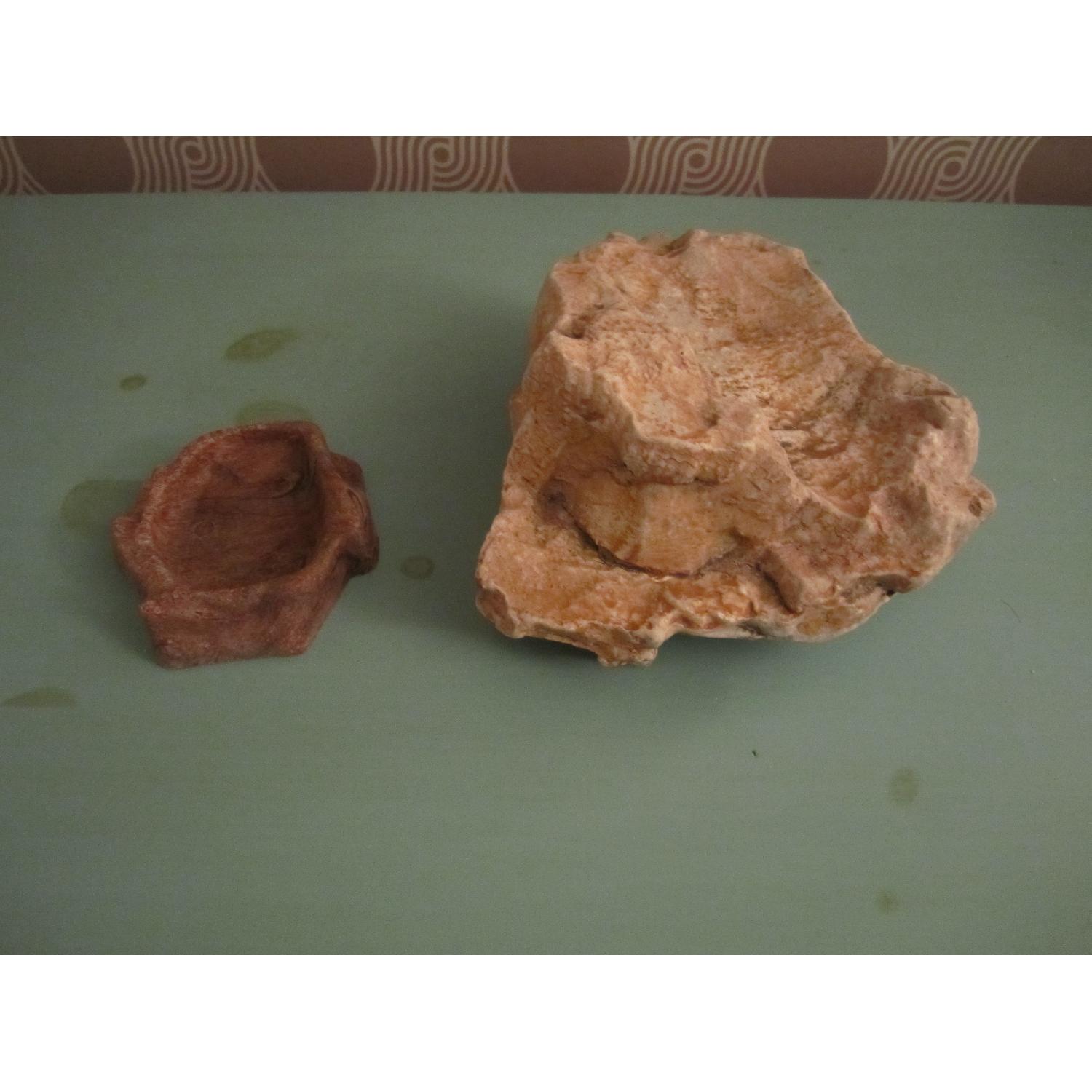 40 Gallon Glass Terrarium Tank - image-6