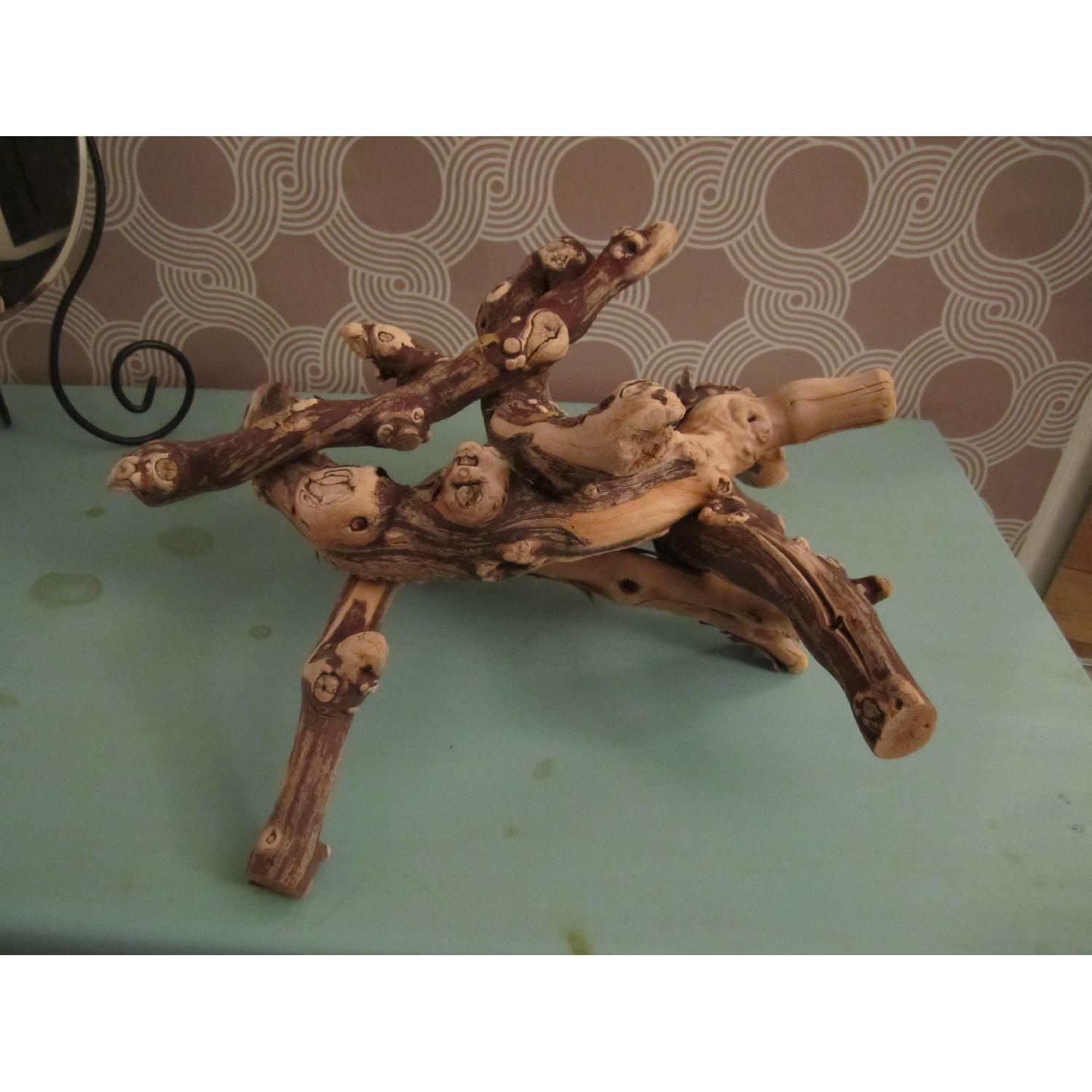 40 Gallon Glass Terrarium Tank - image-7