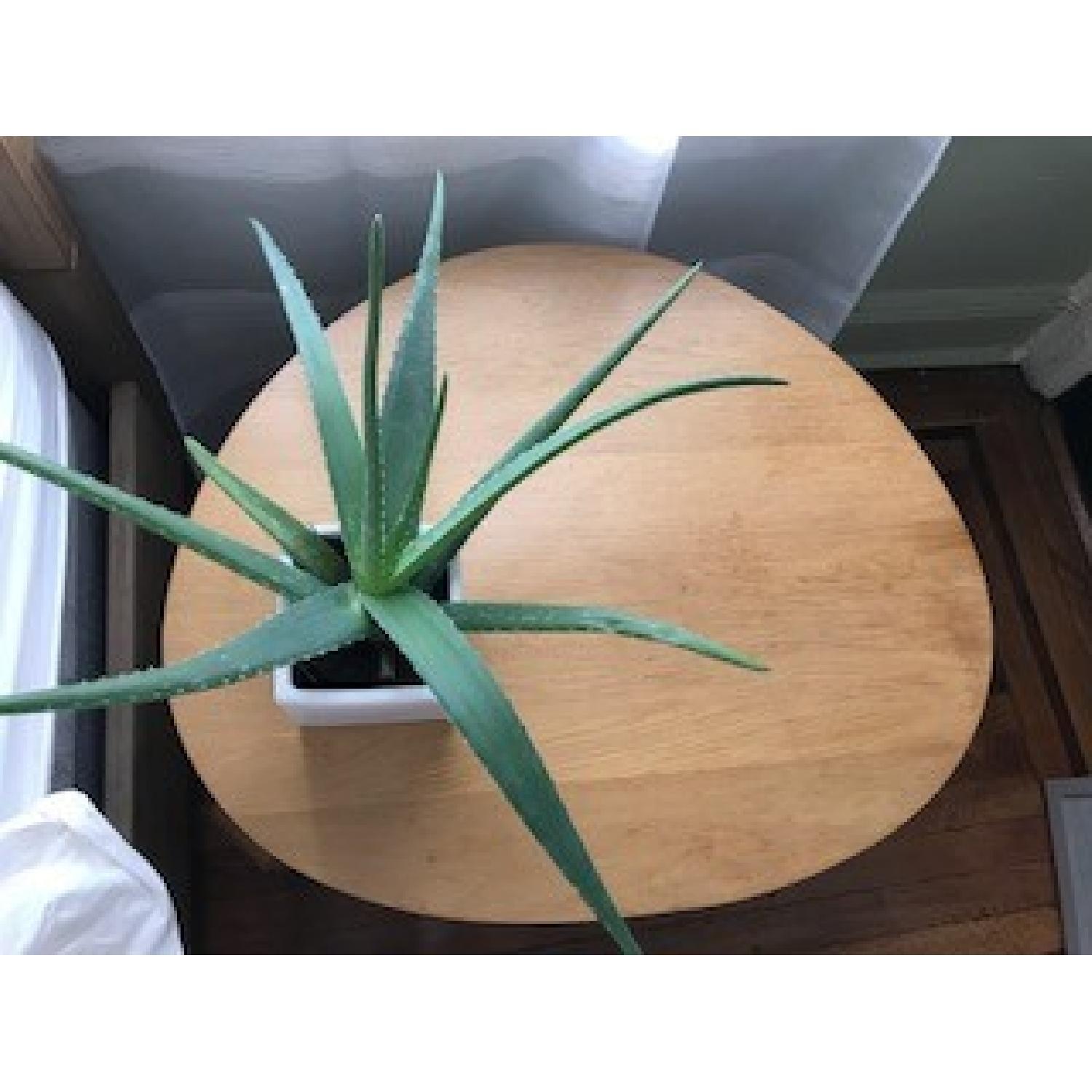 Ikea Bamboo Coffee Table - image-3