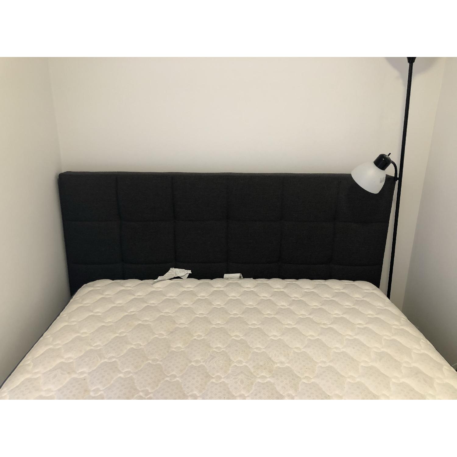 Zipcode Design Colby Upholstered Platform Bed - image-1