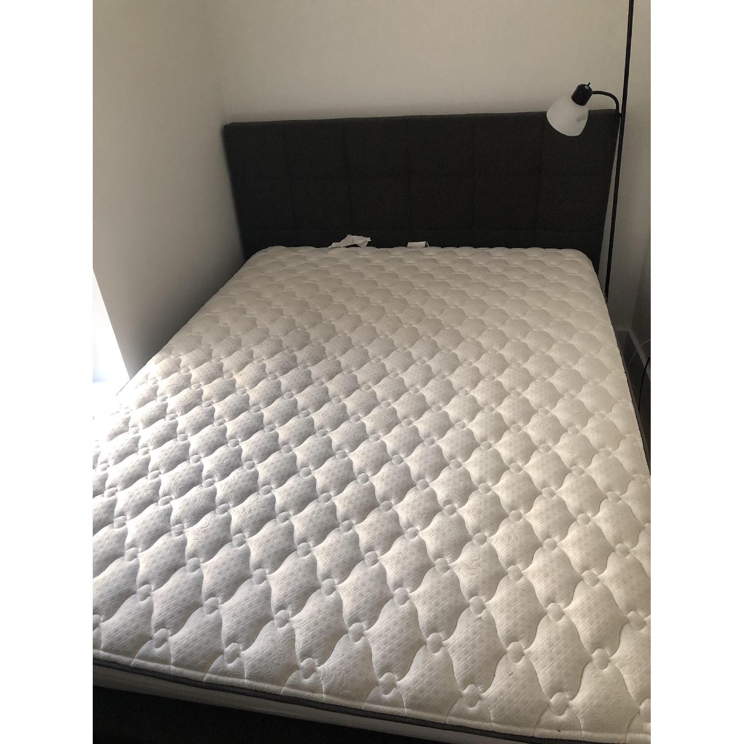 Zipcode Design Colby Upholstered Platform Bed - image-2