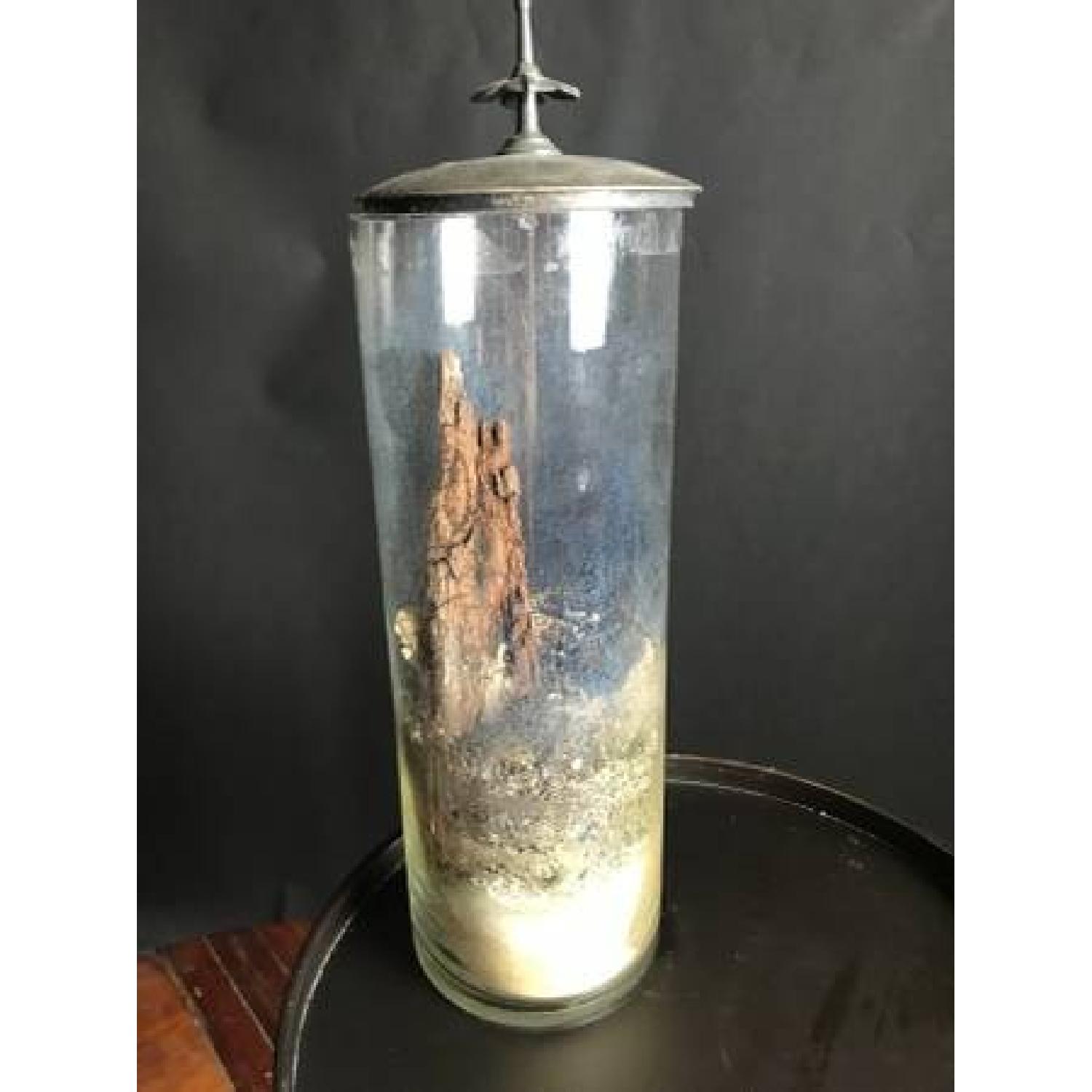 Anthropologie Whimsical Terrarium - image-2