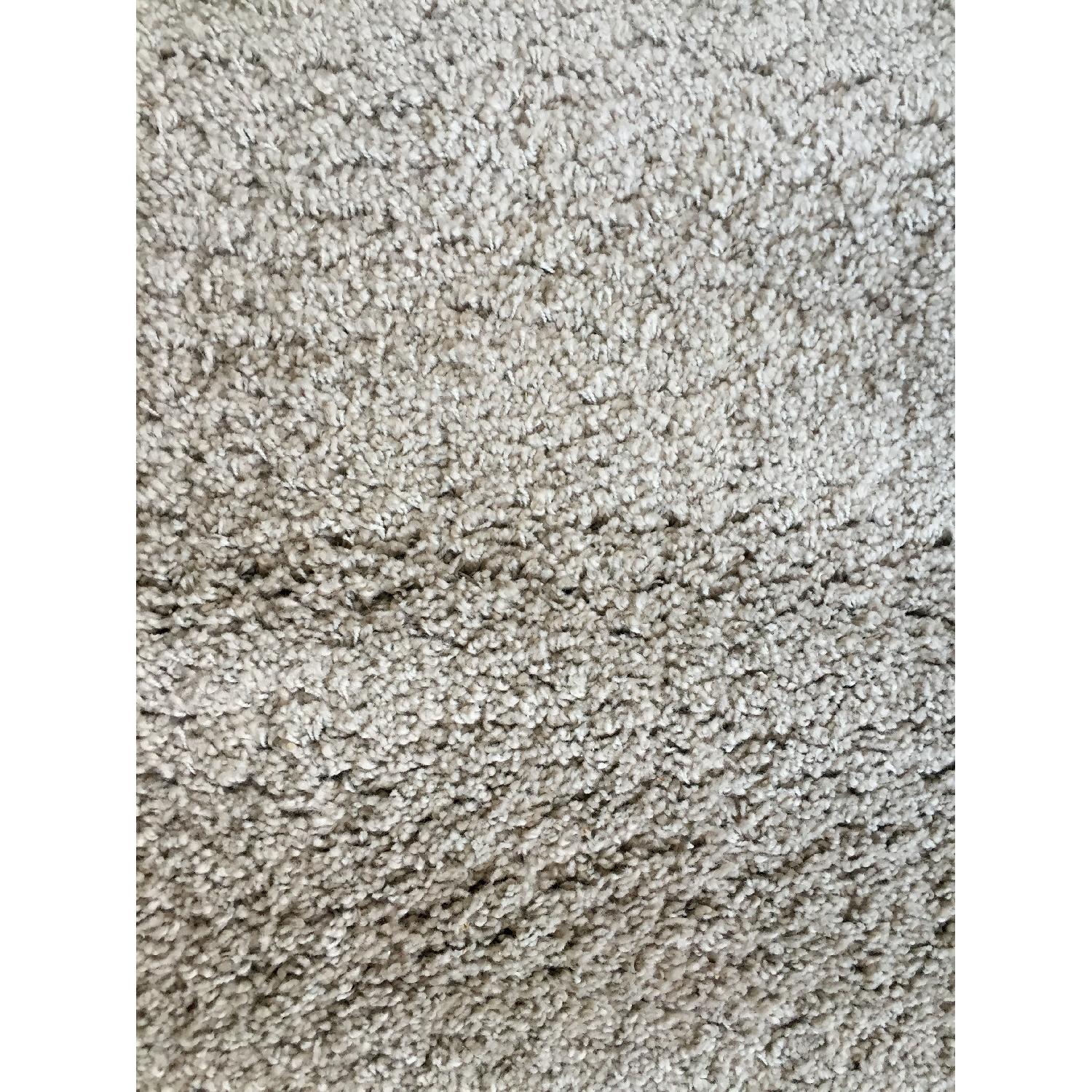 Crate & Barrel Memphis Stone Shag Rug - AptDeco