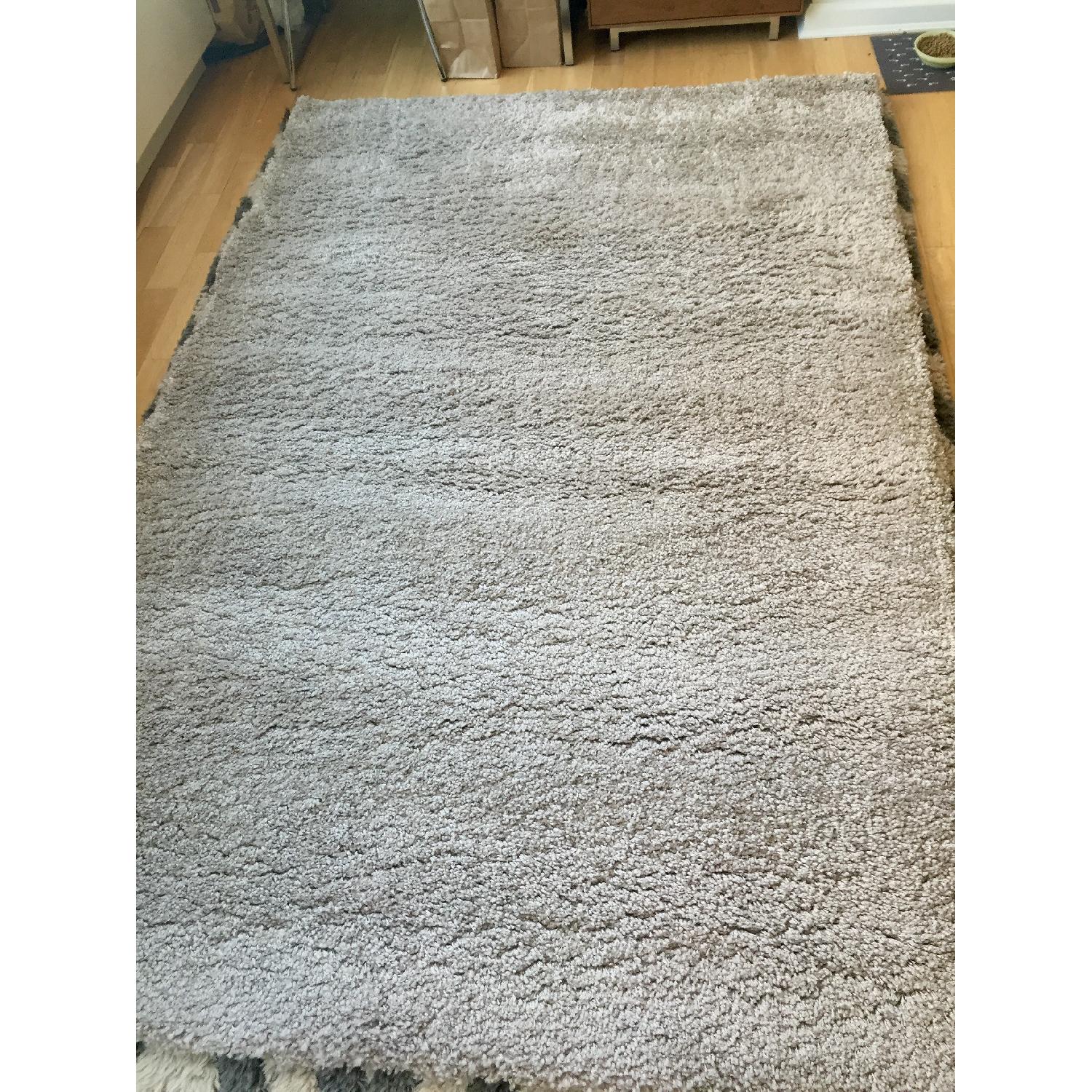 Crate & Barrel Memphis Stone Shag Rug AptDeco