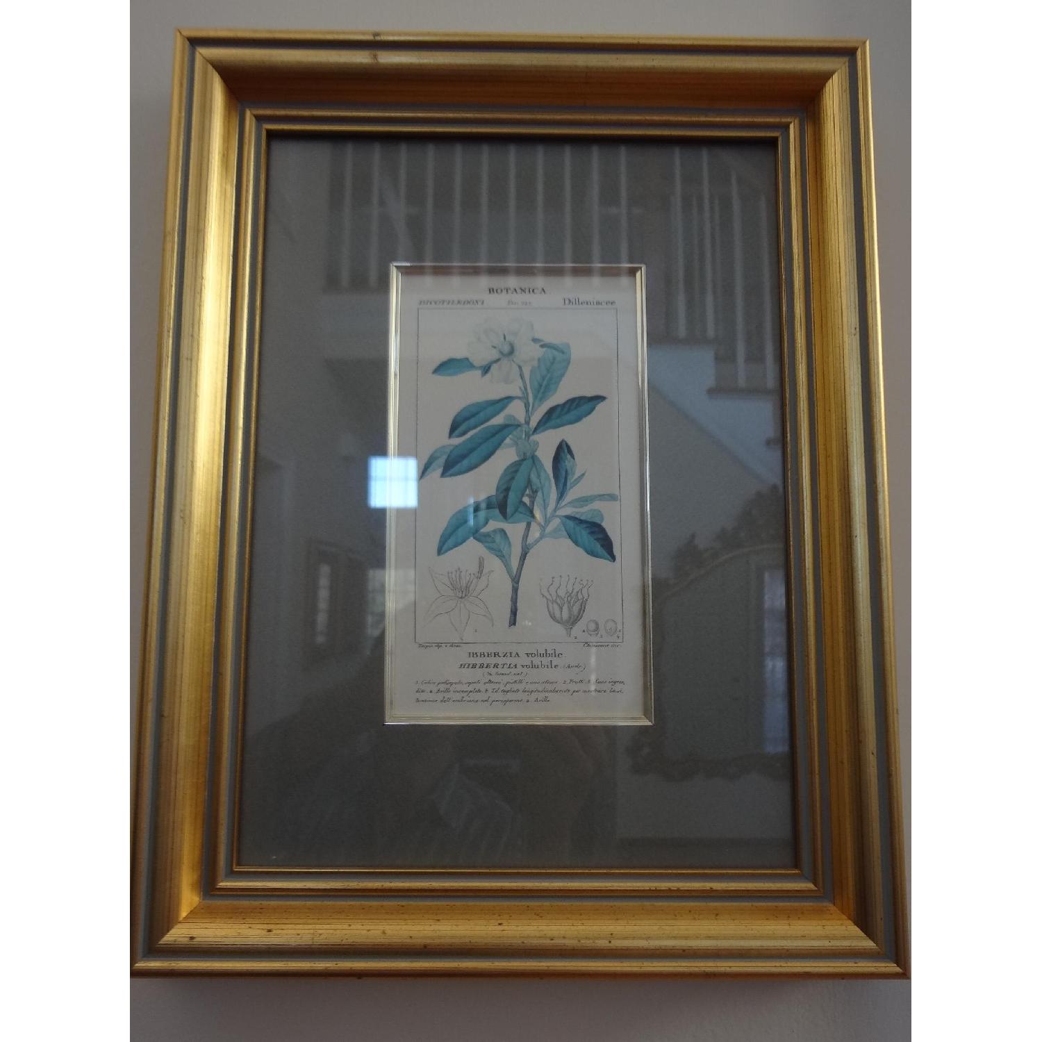 Antique Botanical Art Prints - image-2