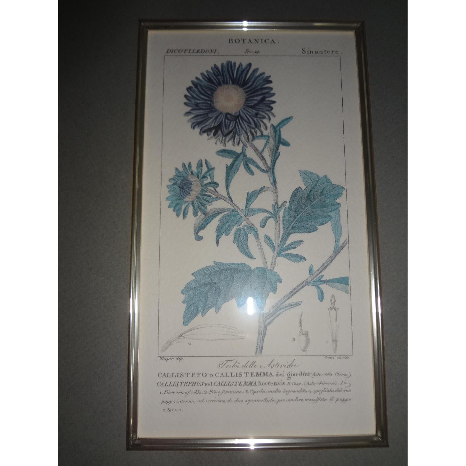 Antique Botanical Art Prints - image-3