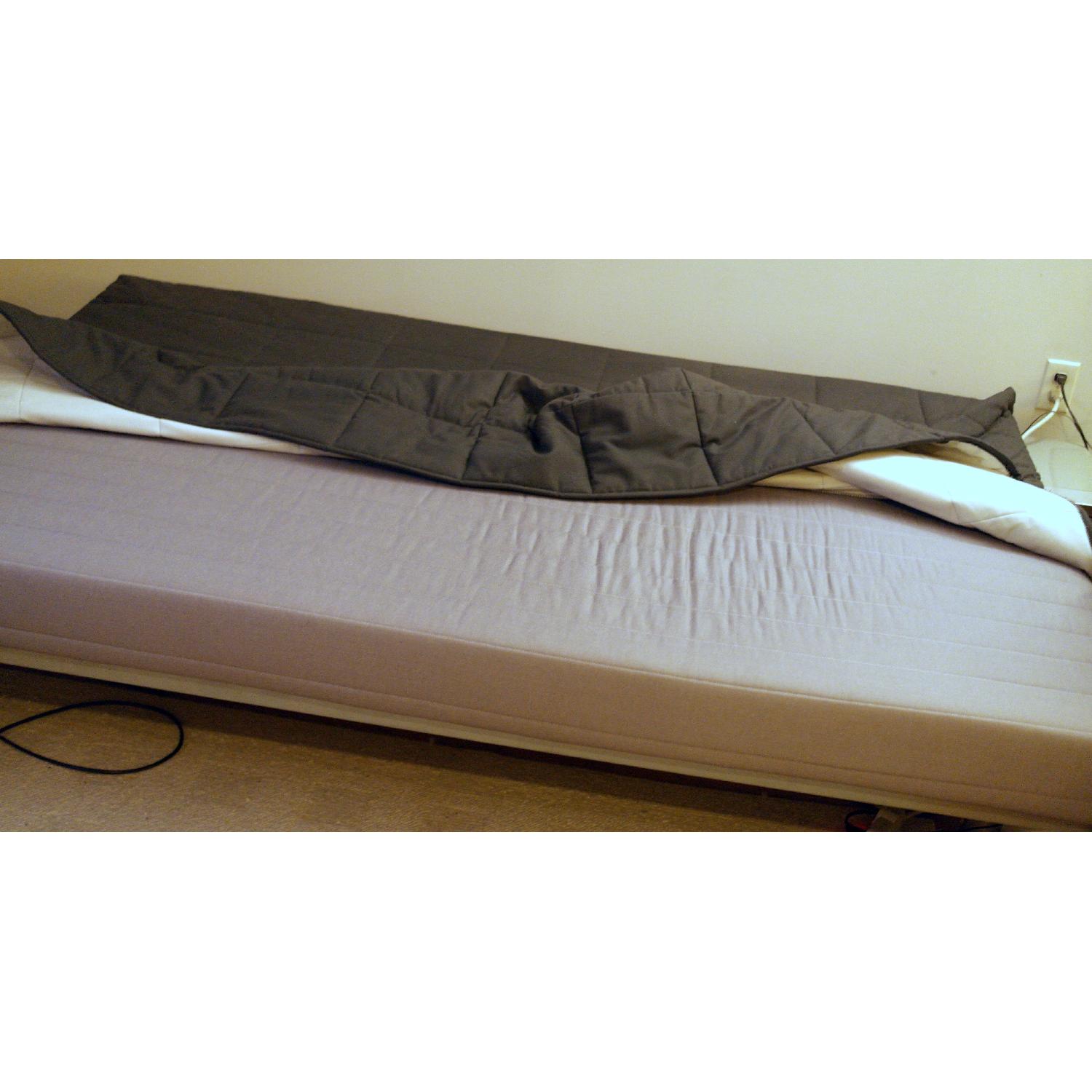 Ikea Beddinge Lvs Full Size Futon w/ Storage - image-1