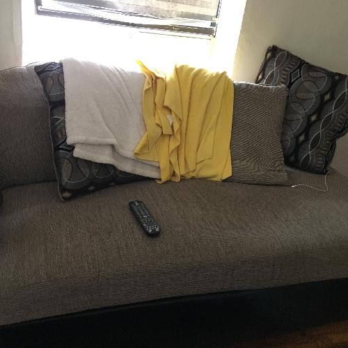Used American Signature Furniture Couch for sale on AptDeco