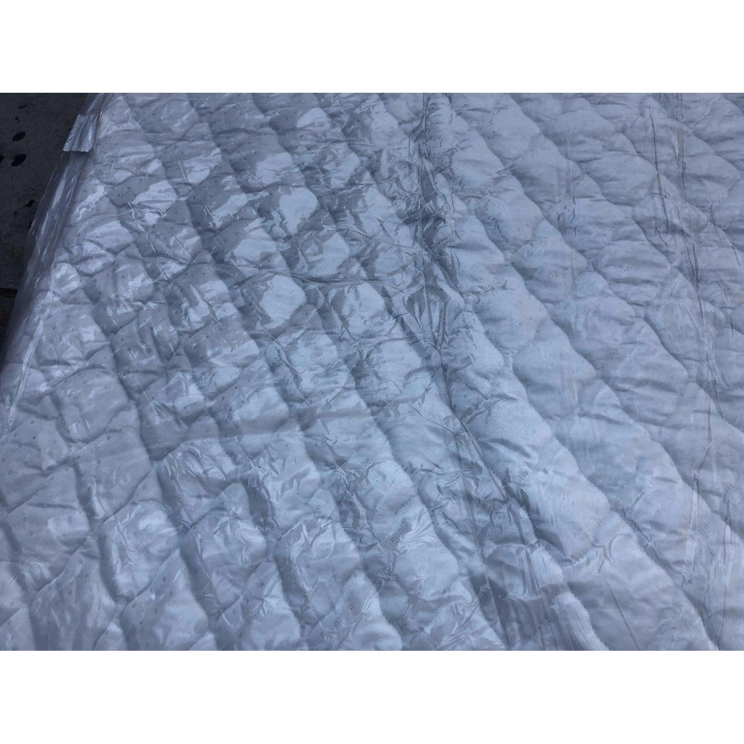 Bauhaus Sunbrella Wooster Fife White Welt Queen Sofa Bed - image-23