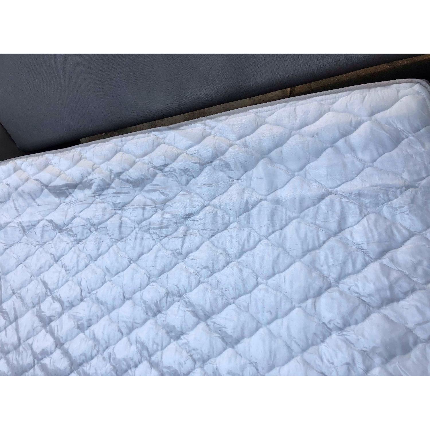 Bauhaus Sunbrella Wooster Fife White Welt Queen Sofa Bed - image-24