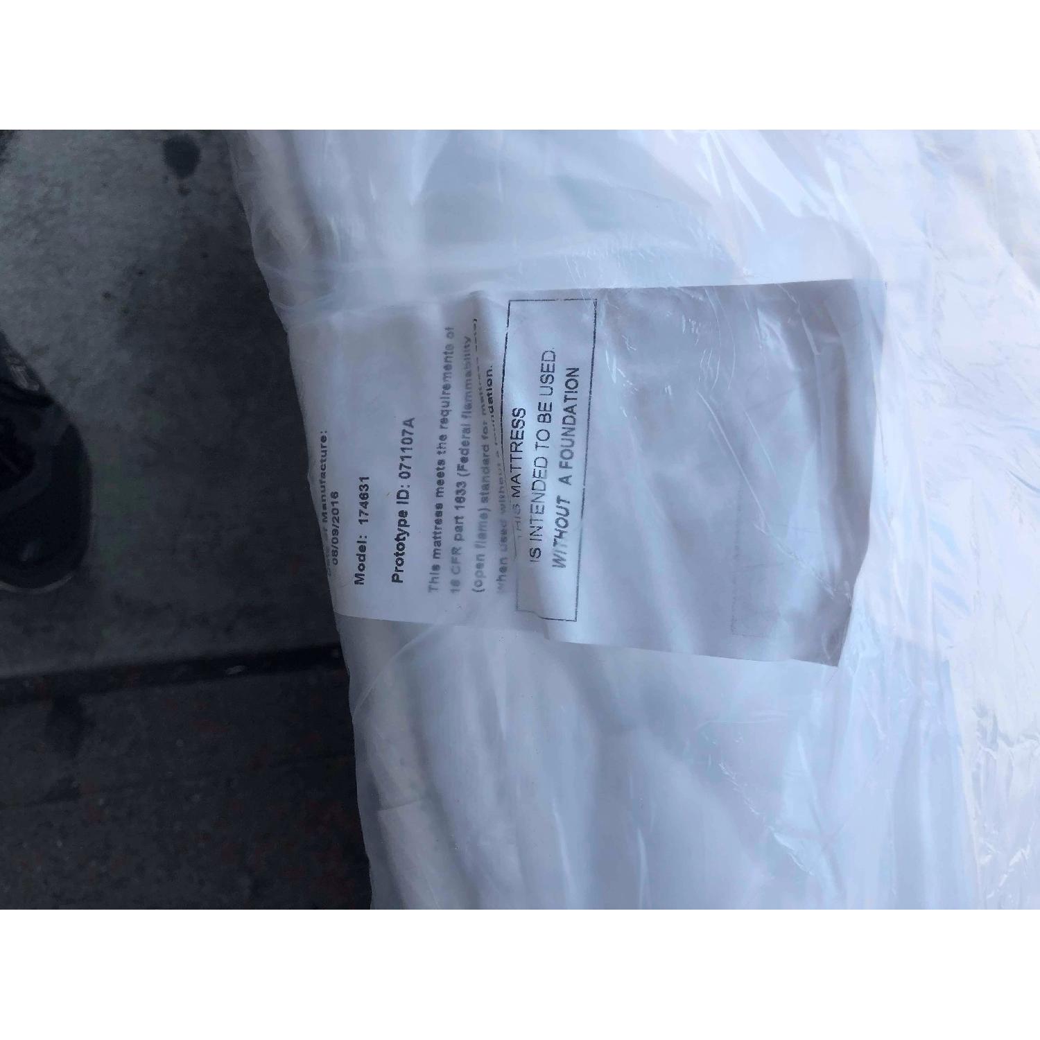 Bauhaus Sunbrella Wooster Fife White Welt Queen Sofa Bed - image-25