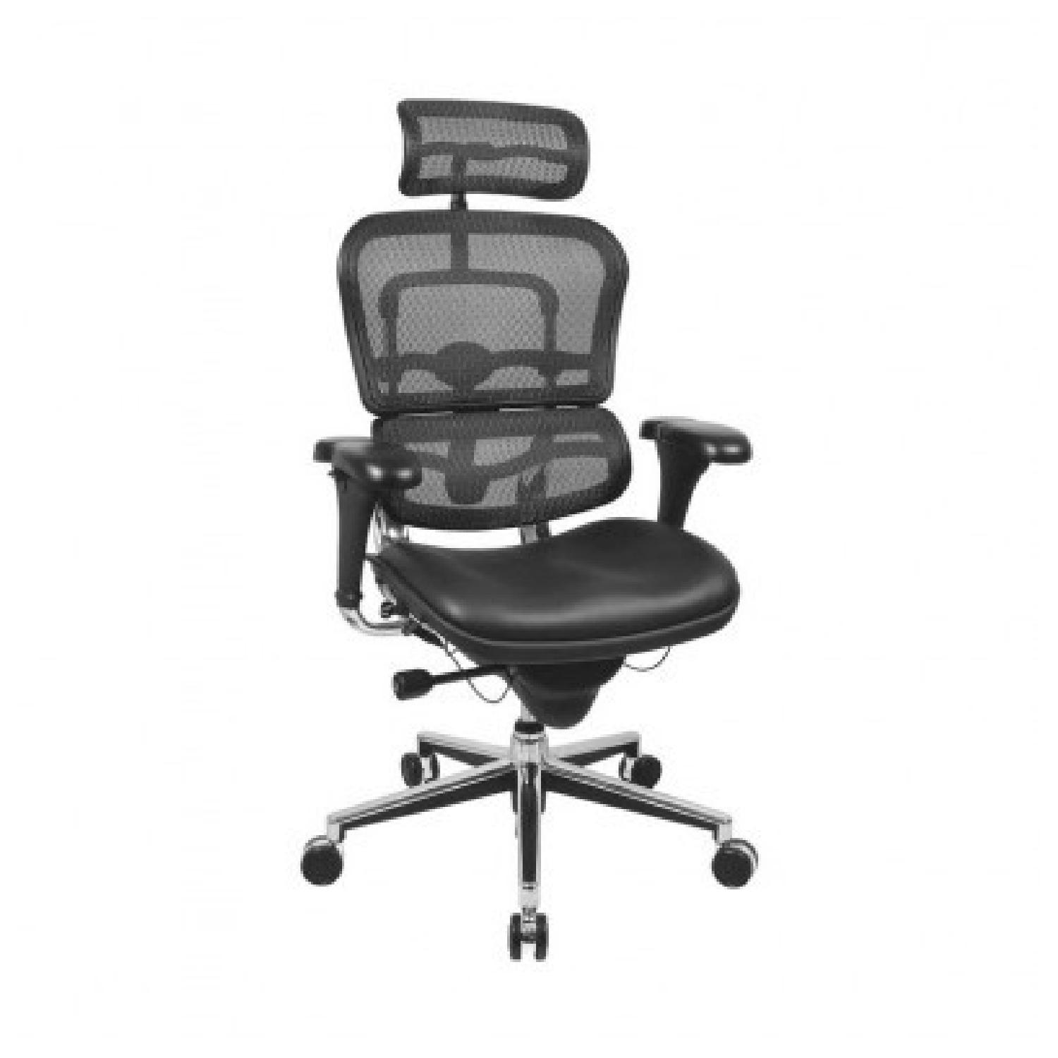 Ergohuman High Back Mesh Executive Chair AptDeco