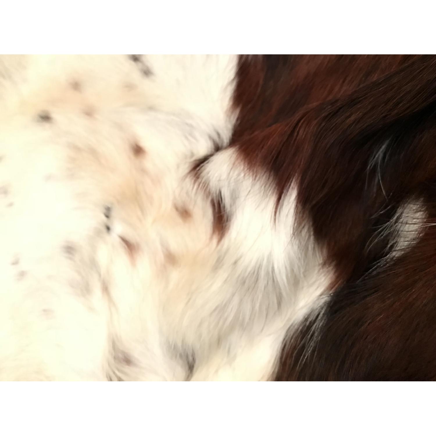Design Within Reach Spinneybeck Cowhide Rug - image-3