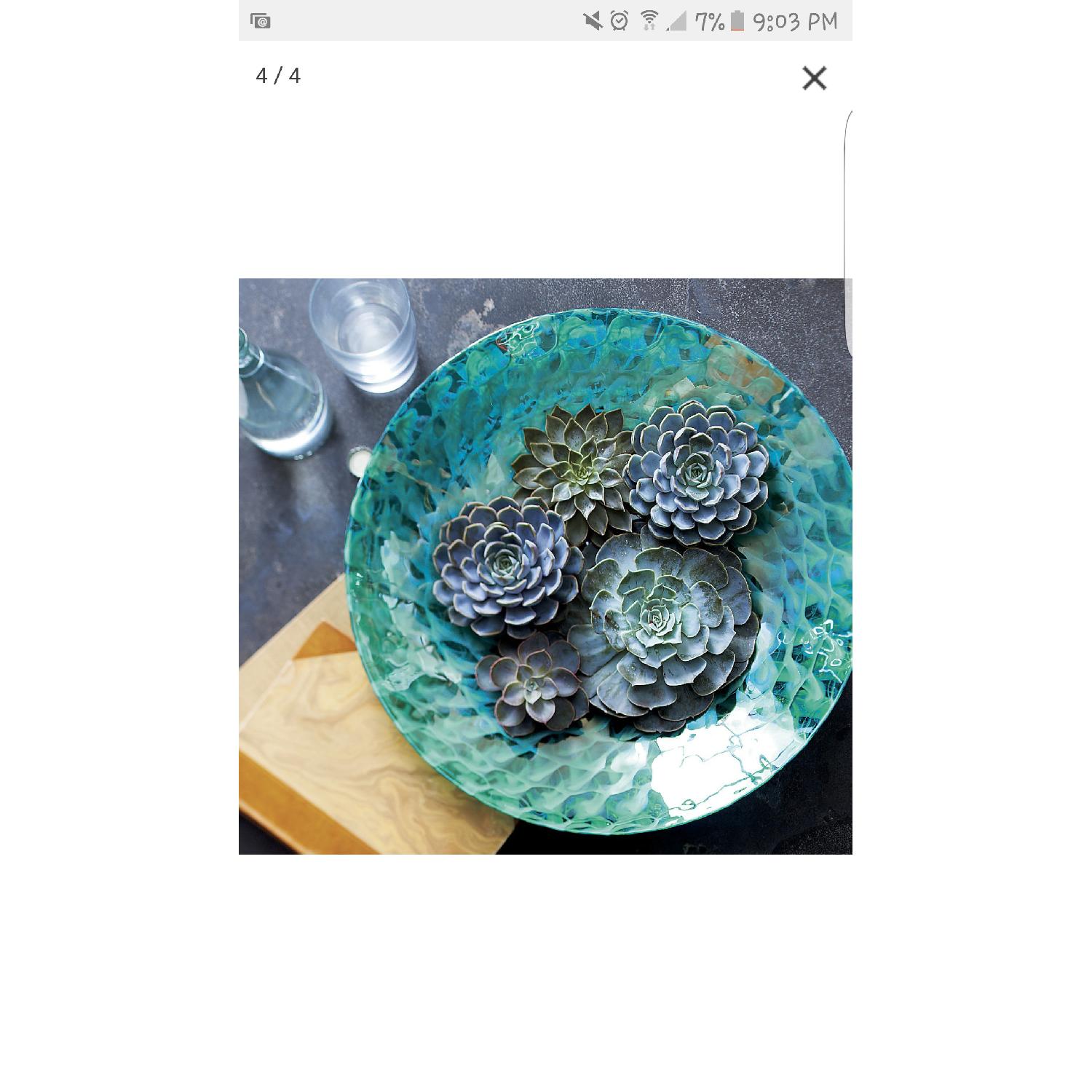 Crate & Barrel Acquatic Bowl - image-3