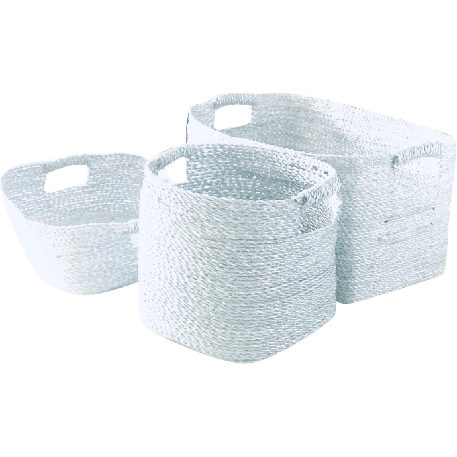 West Elm Metallic Woven Baskets - image-0