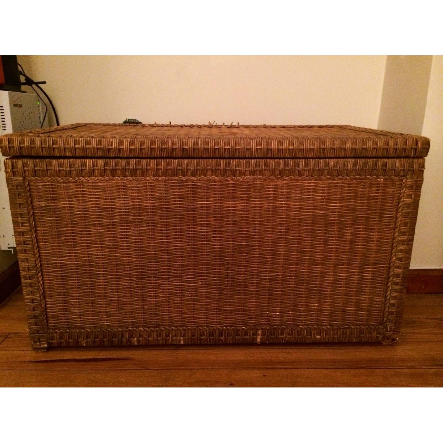 Pier 1 Imports Lindi Trunk - Honey Brown - image-1