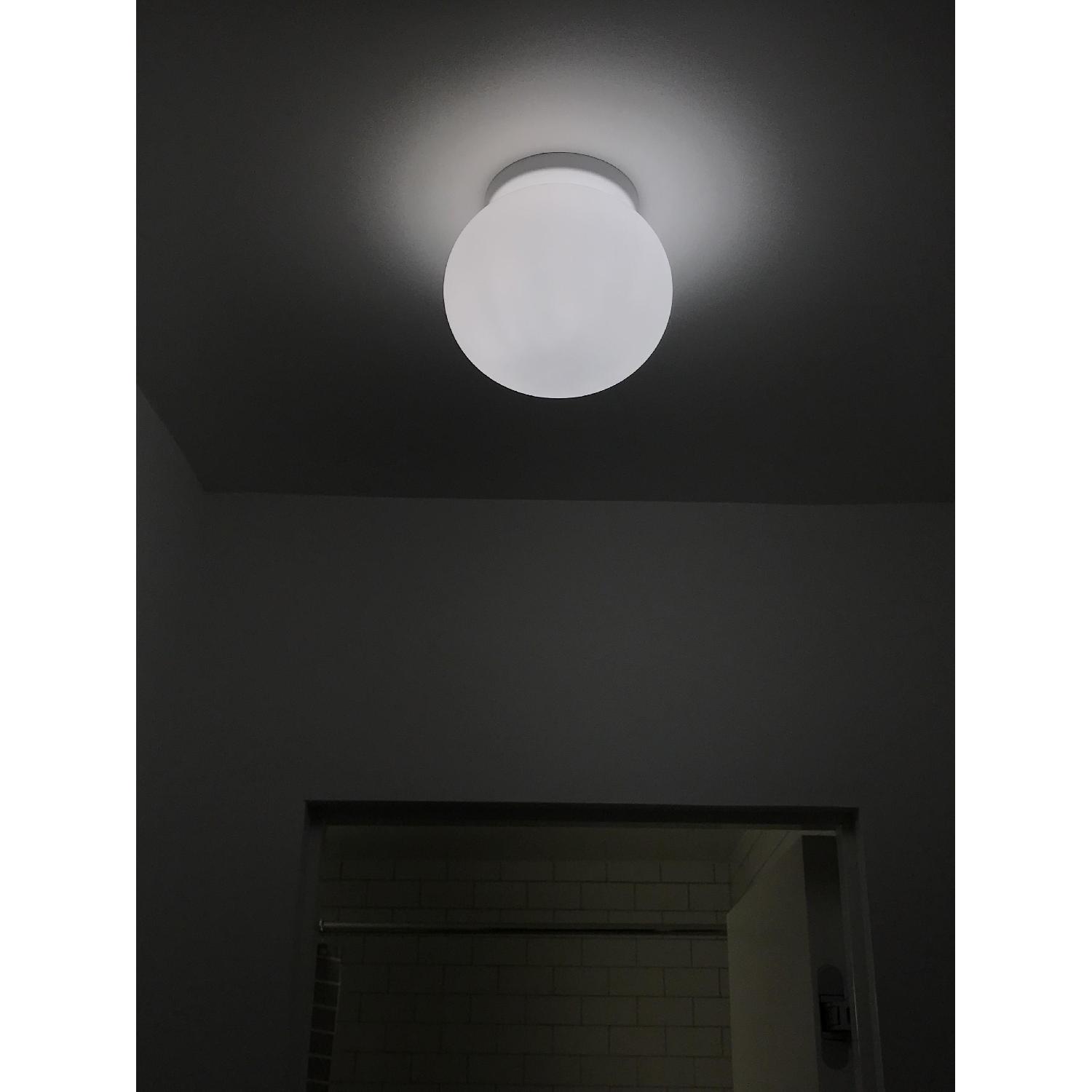 Flos Glo-Ball Ceiling/Wall Light - image-2